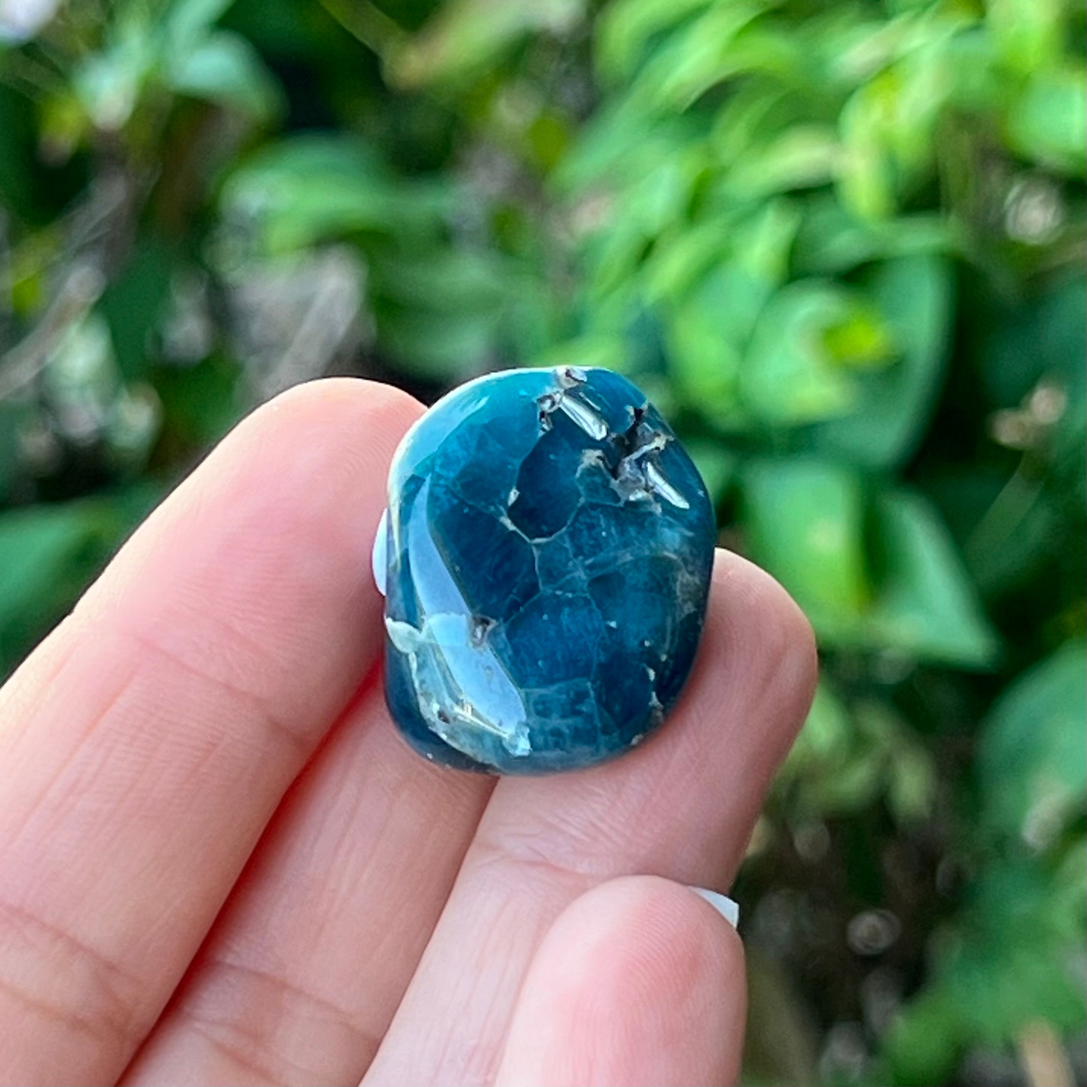 Blue Apatite ~ Specialty Boxed Crystal