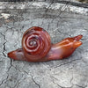 Carnelian ~ Snail of Courage