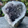Amethyst Standing Cluster Geode