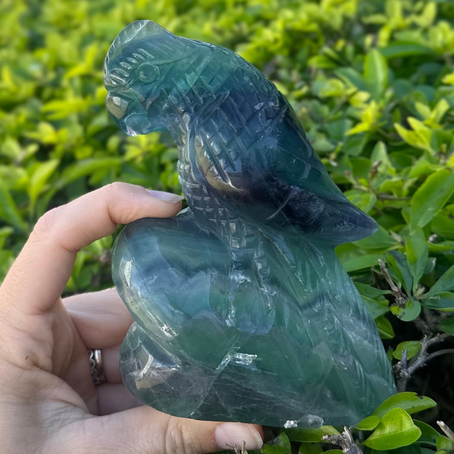 Rainbow Flourite ~ Bird Carving