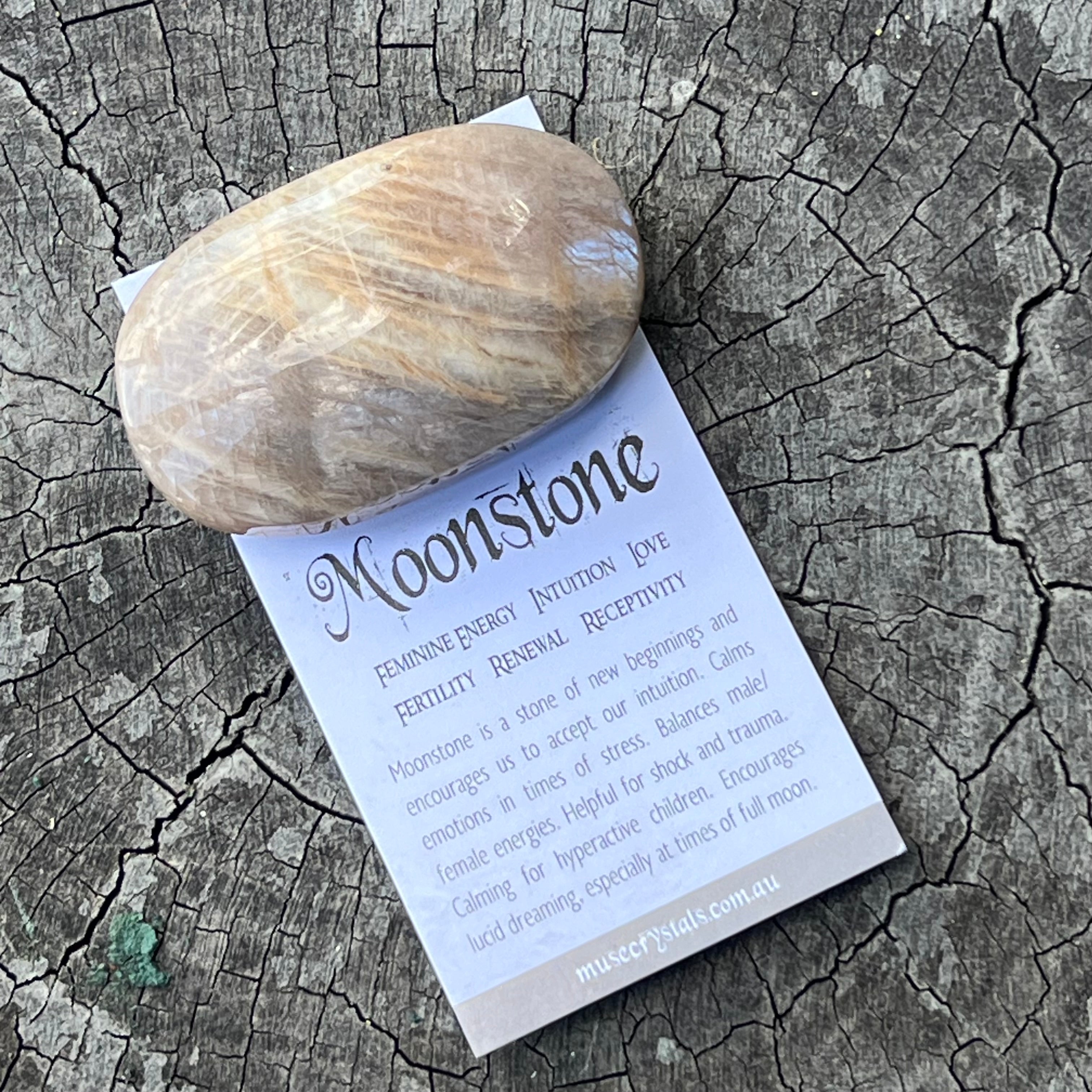 Rainbow Moonstone Palmstone