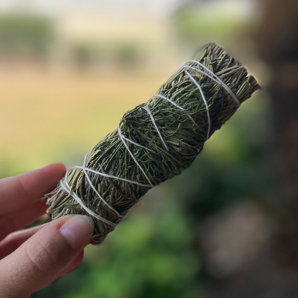 Rose of Jericho ~ Smudge Stick