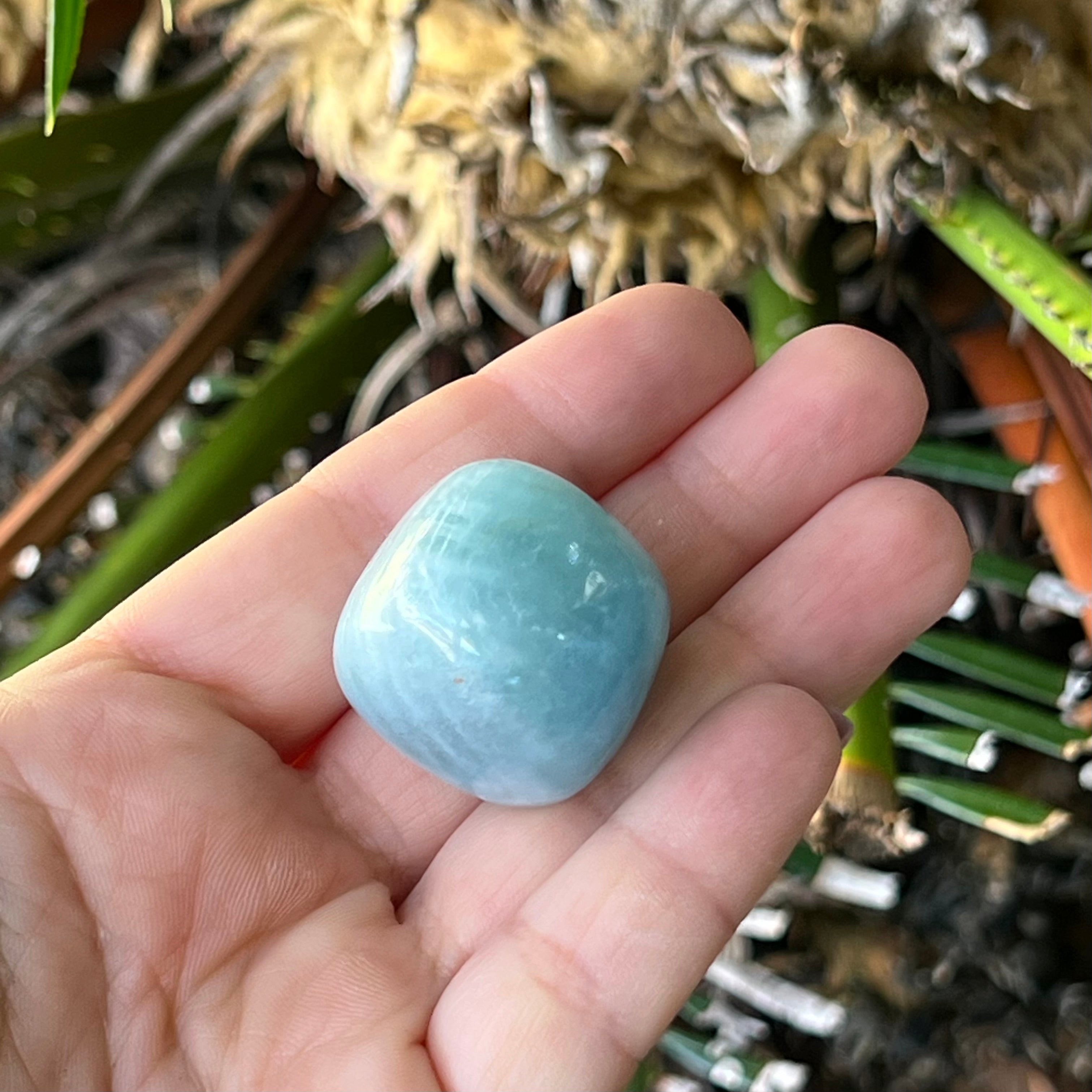 Aquamarine ~ Specialty Boxed Crystal