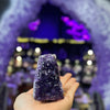 Amethyst Standing Cluster