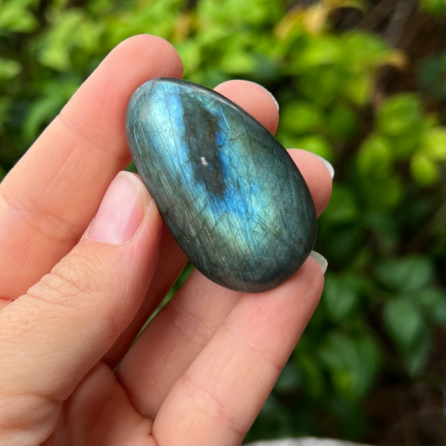 Labradorite ~ Specialty Boxed Crystal ~ 1