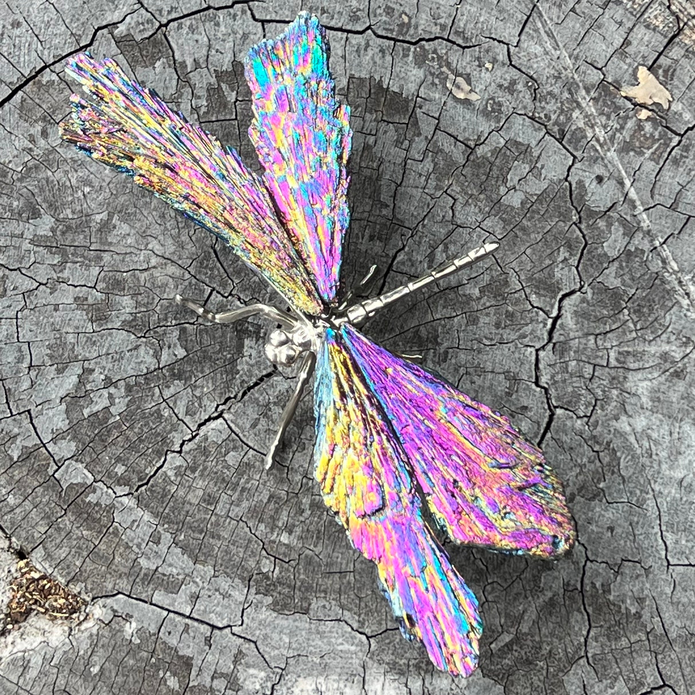 Dragonfly ~ Kyanite Electroplate ~ Rainbow ~ Large