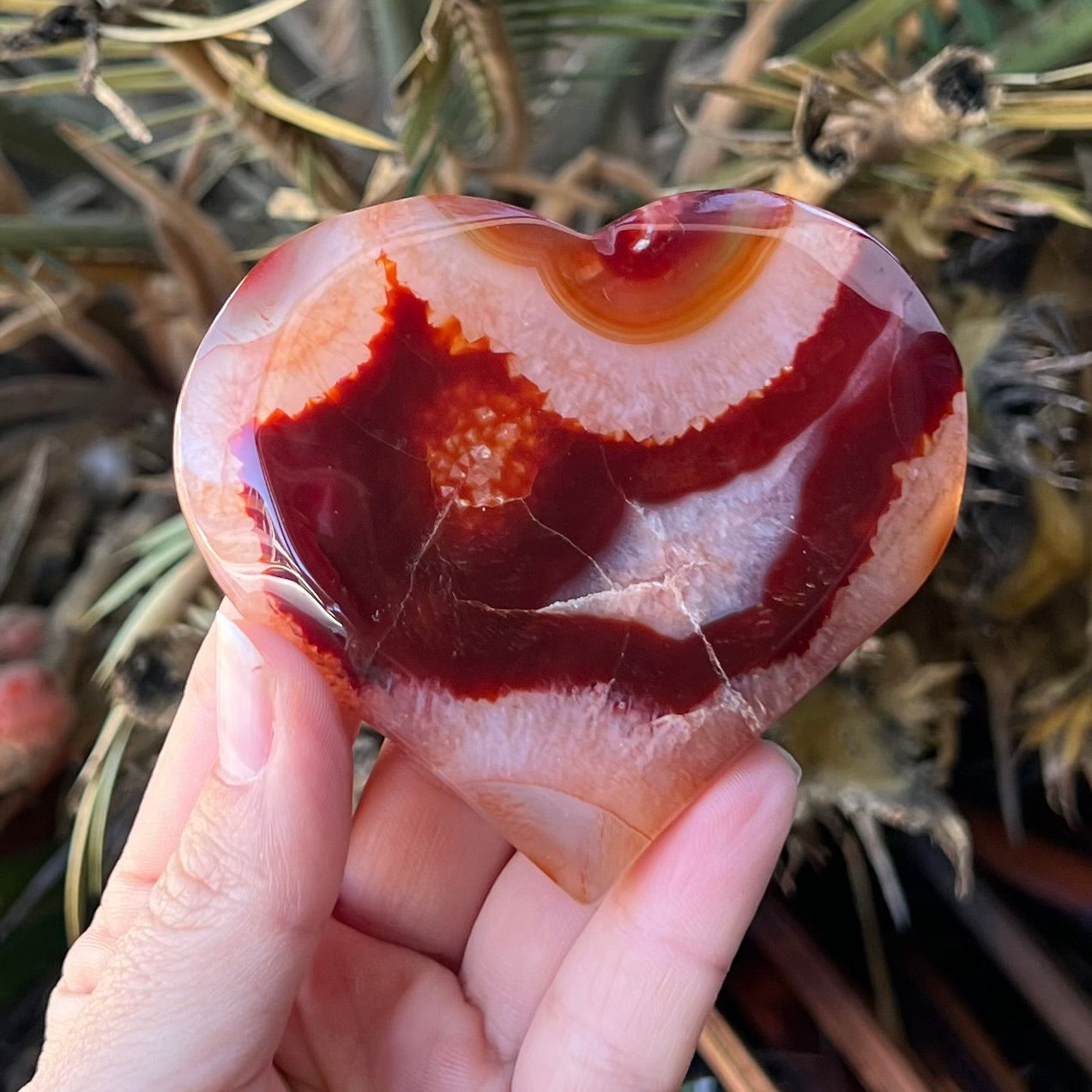 Carnelian Heart