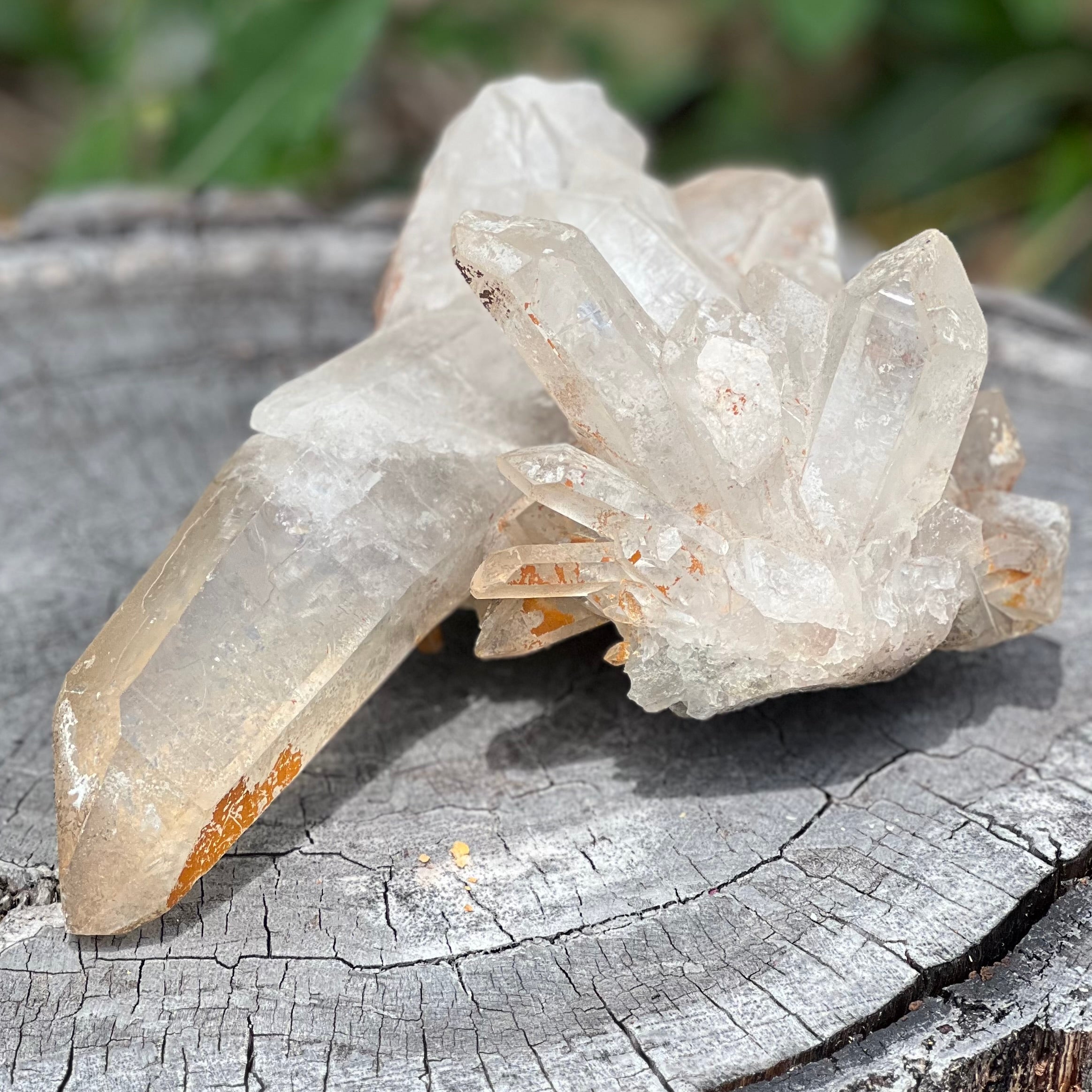 Raw Clear Quartz Natural Cluster of Points