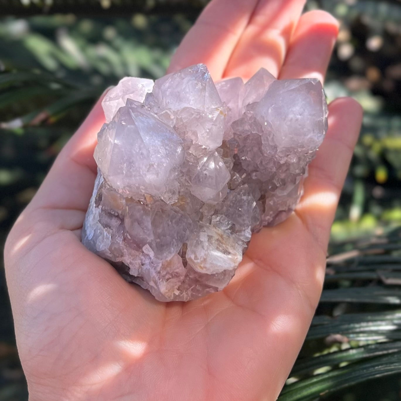 Natural Apophyllite Cluster