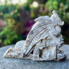 Crazy Lace Agate Dragon Carving