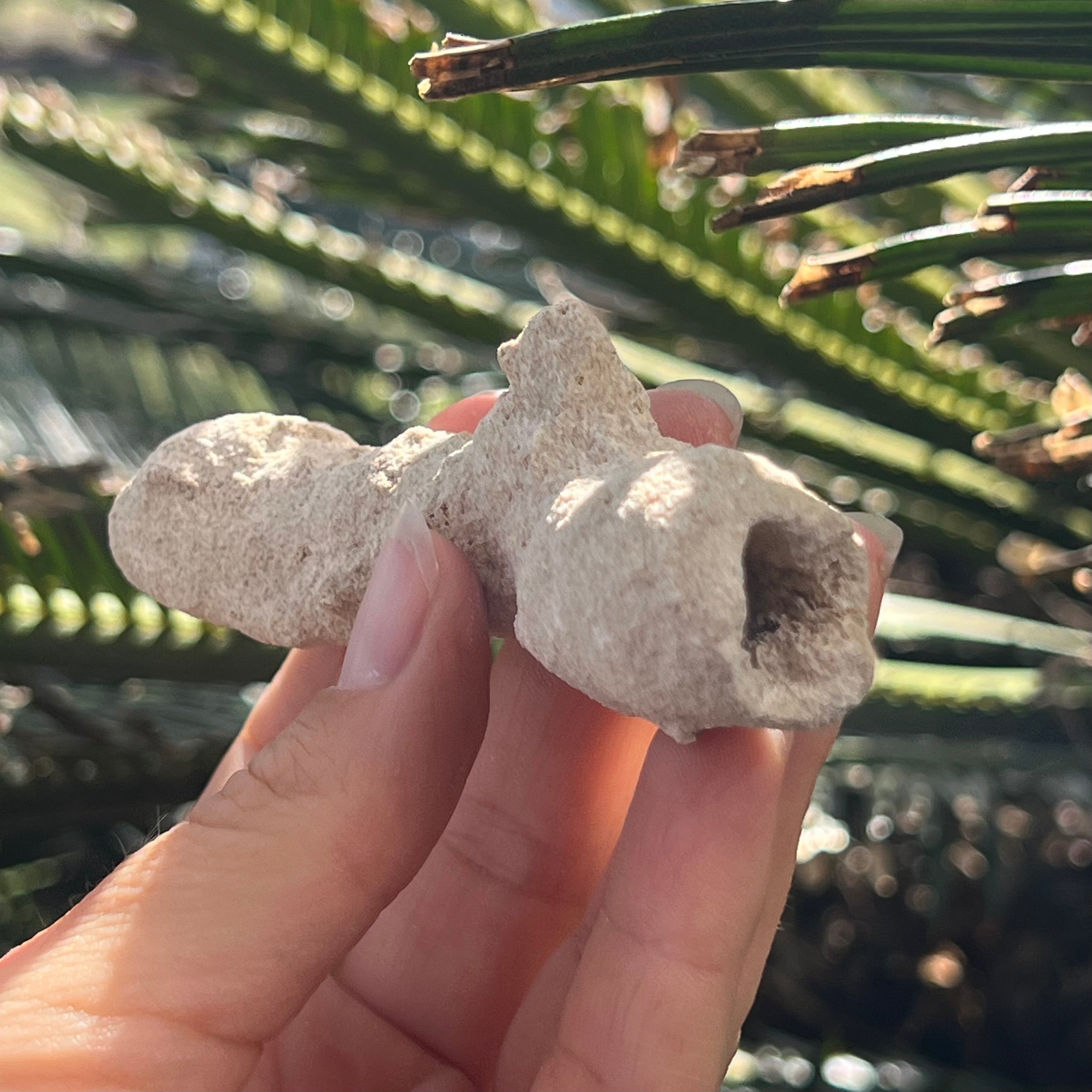 Fulgurite – Petrified Lightning in Your Hands