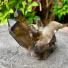 Smokey Quartz Cluster