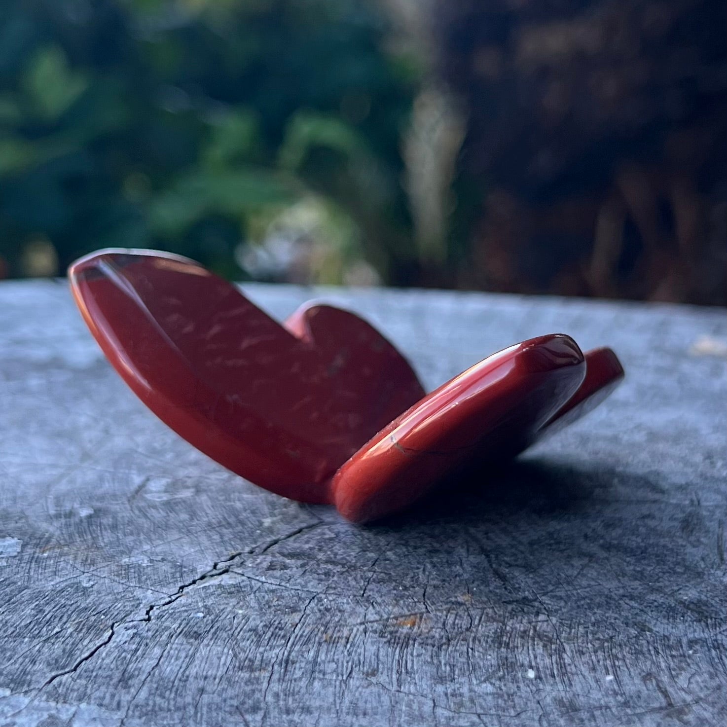 Red Jasper Butterfly Carving (2)