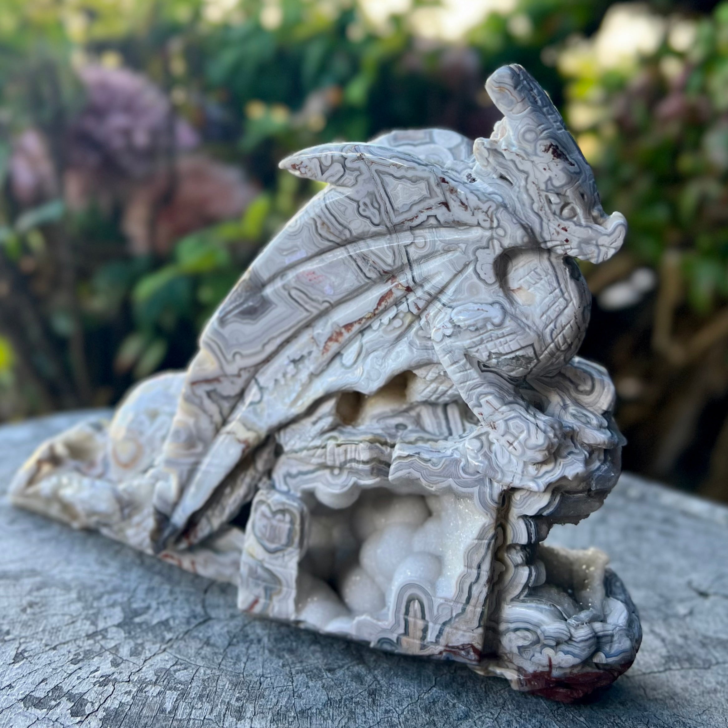 Crazy Lace Agate Dragon Carving