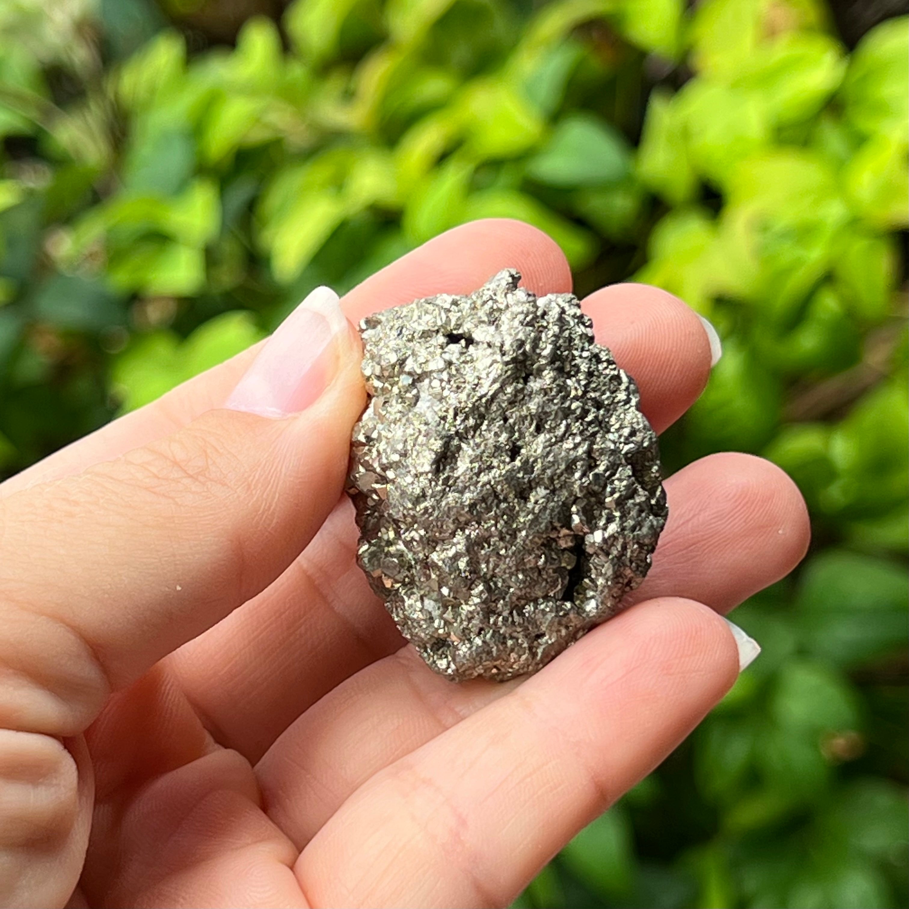 Pyrite Specimen ~ Specialty Boxed Crystal (2)