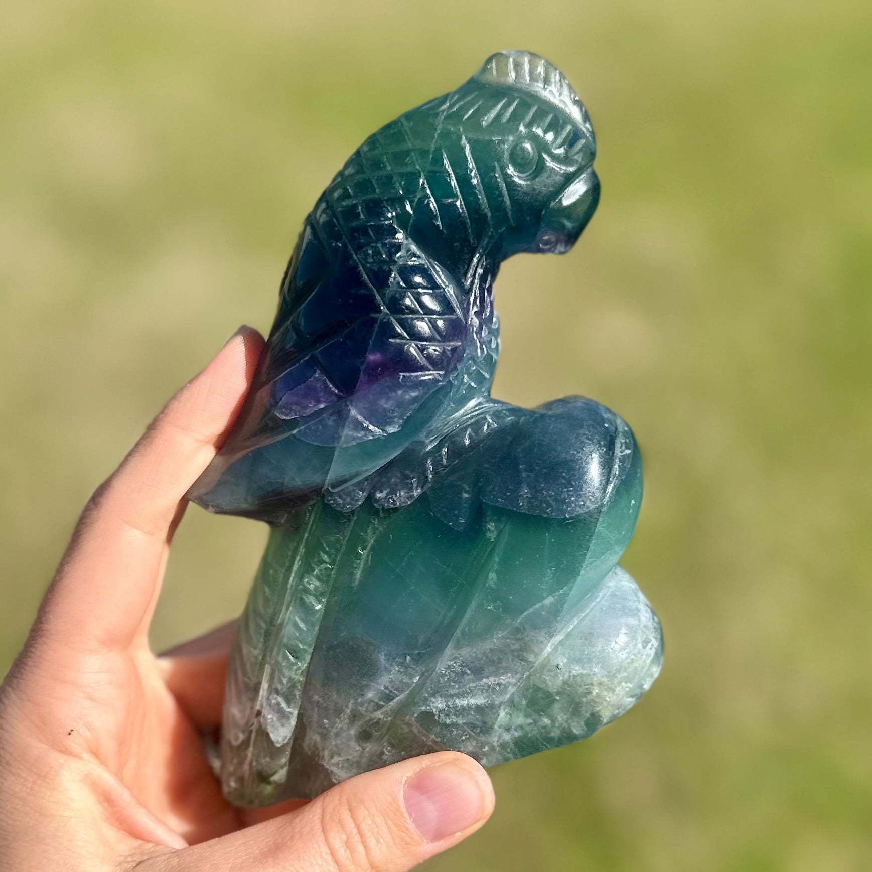 Rainbow Flourite ~ Bird Carving