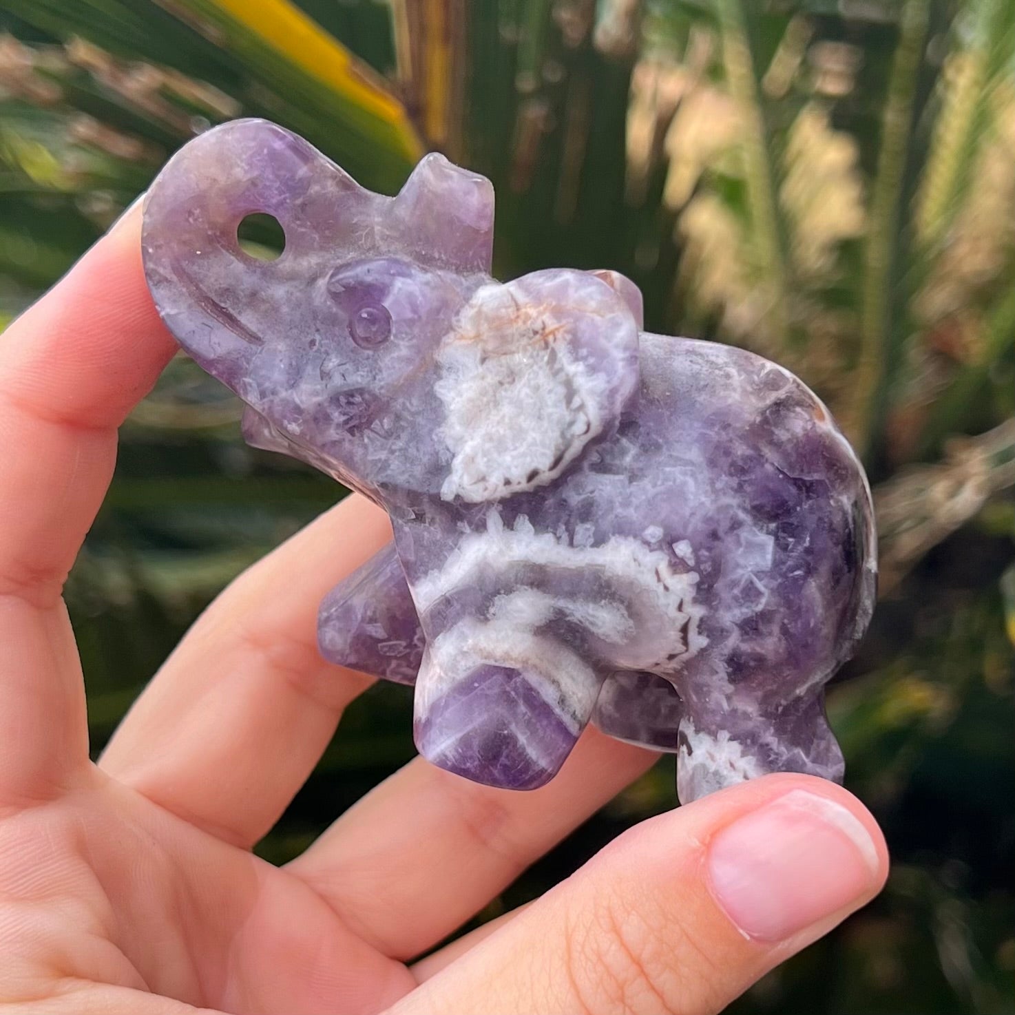 Lucky Elephant ~ Amethyst
