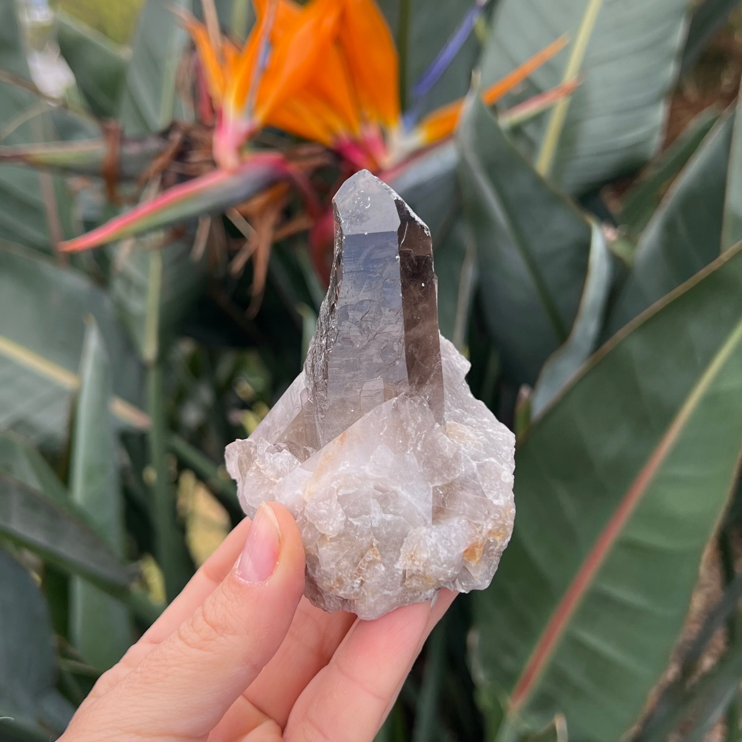 Smokey Quartz Natural Point