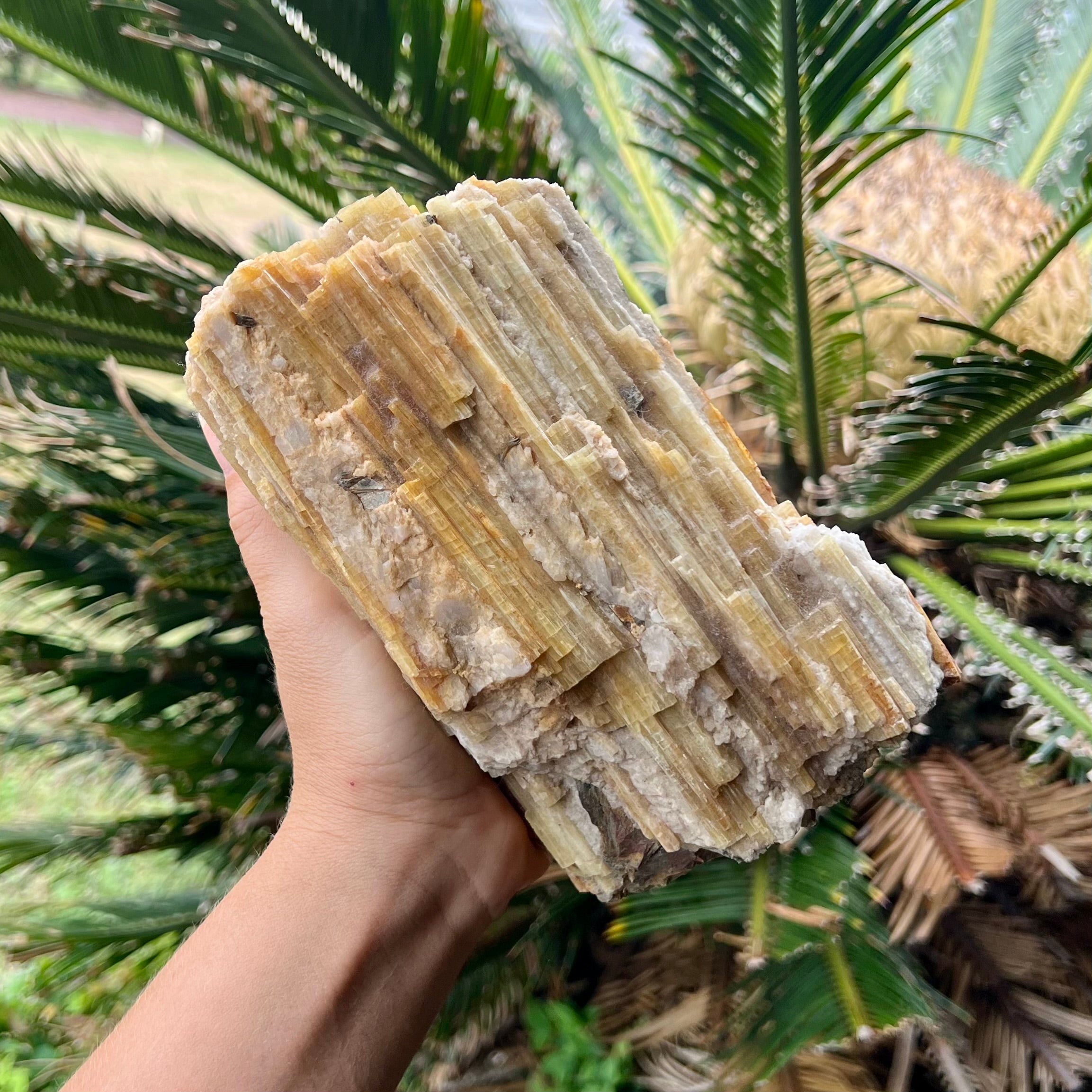 Large Natural Yellow Tourmaline