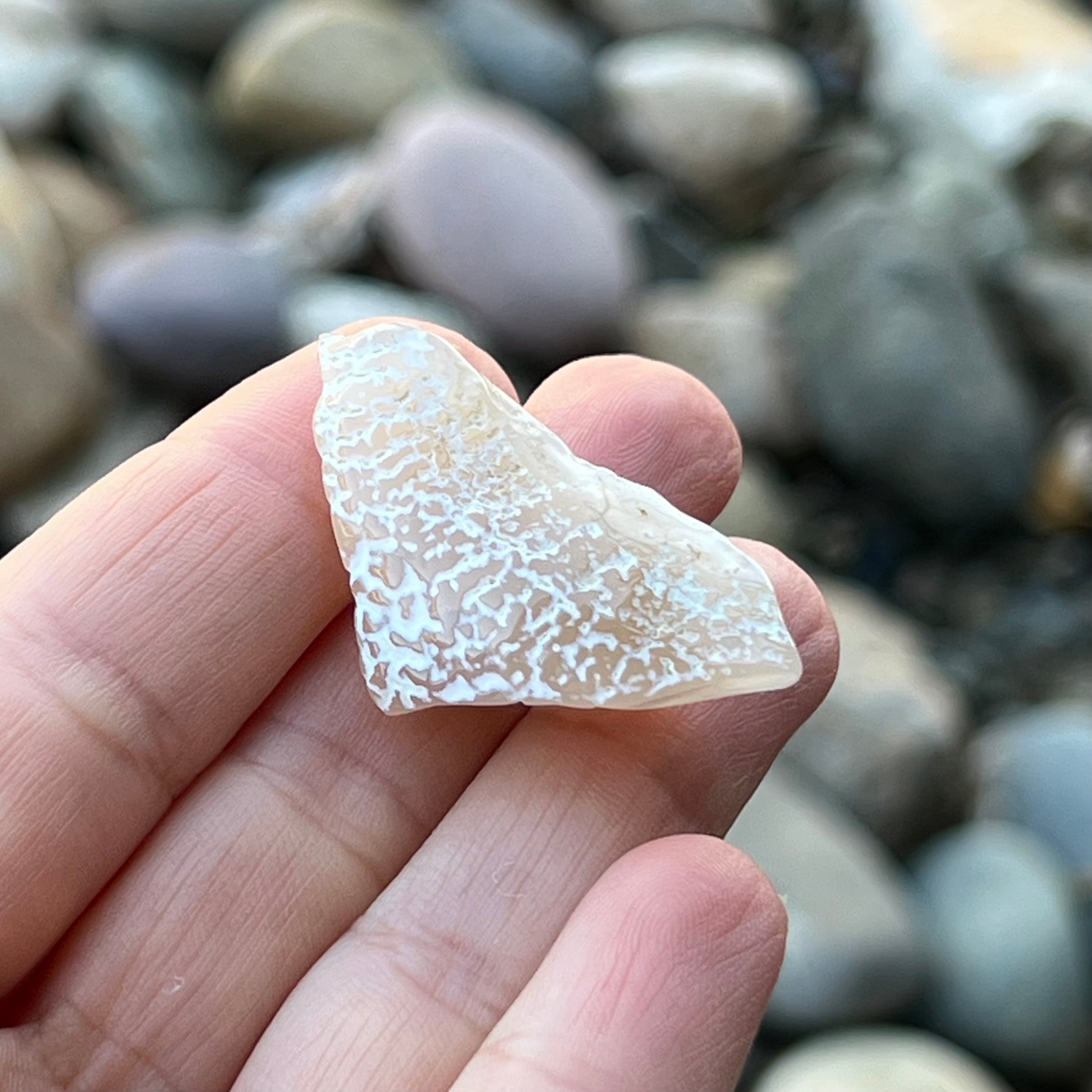 Snake Skin Agate ~ Specialty Boxed Crystal