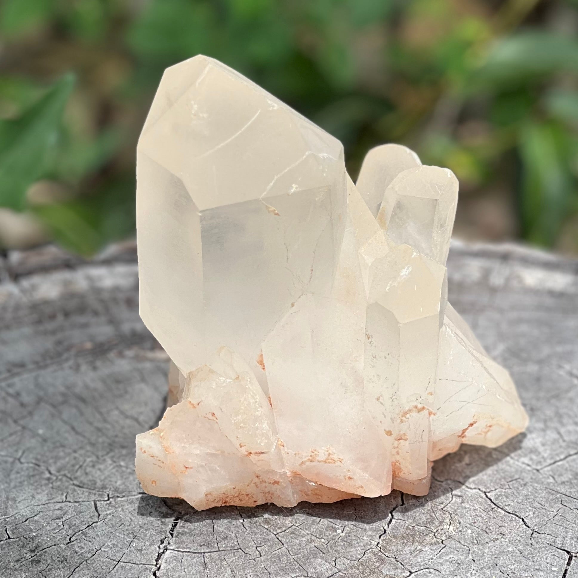 Raw Clear Quartz Natural Cluster of Points