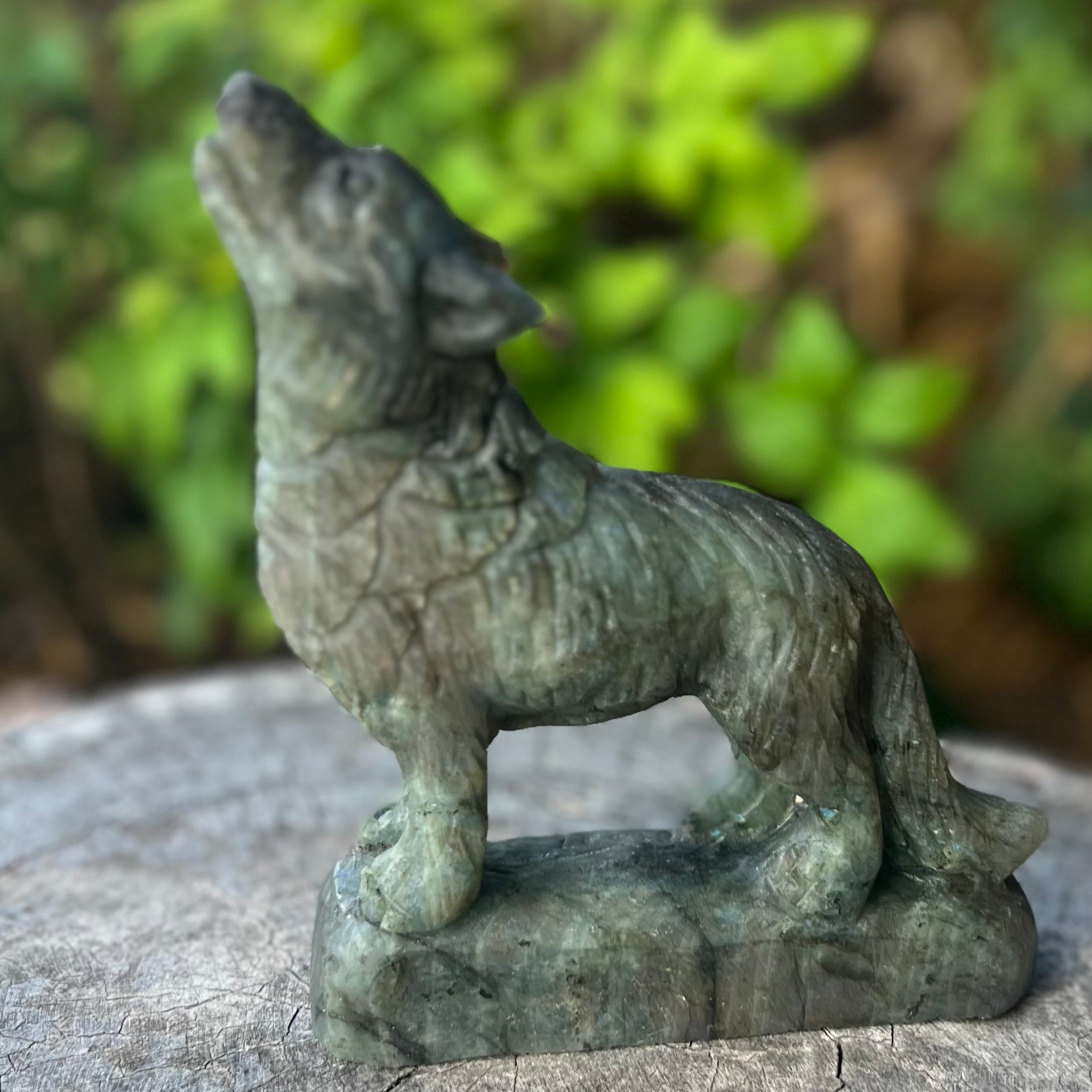 Labradorite ~ Wolf Carving ~ Medium