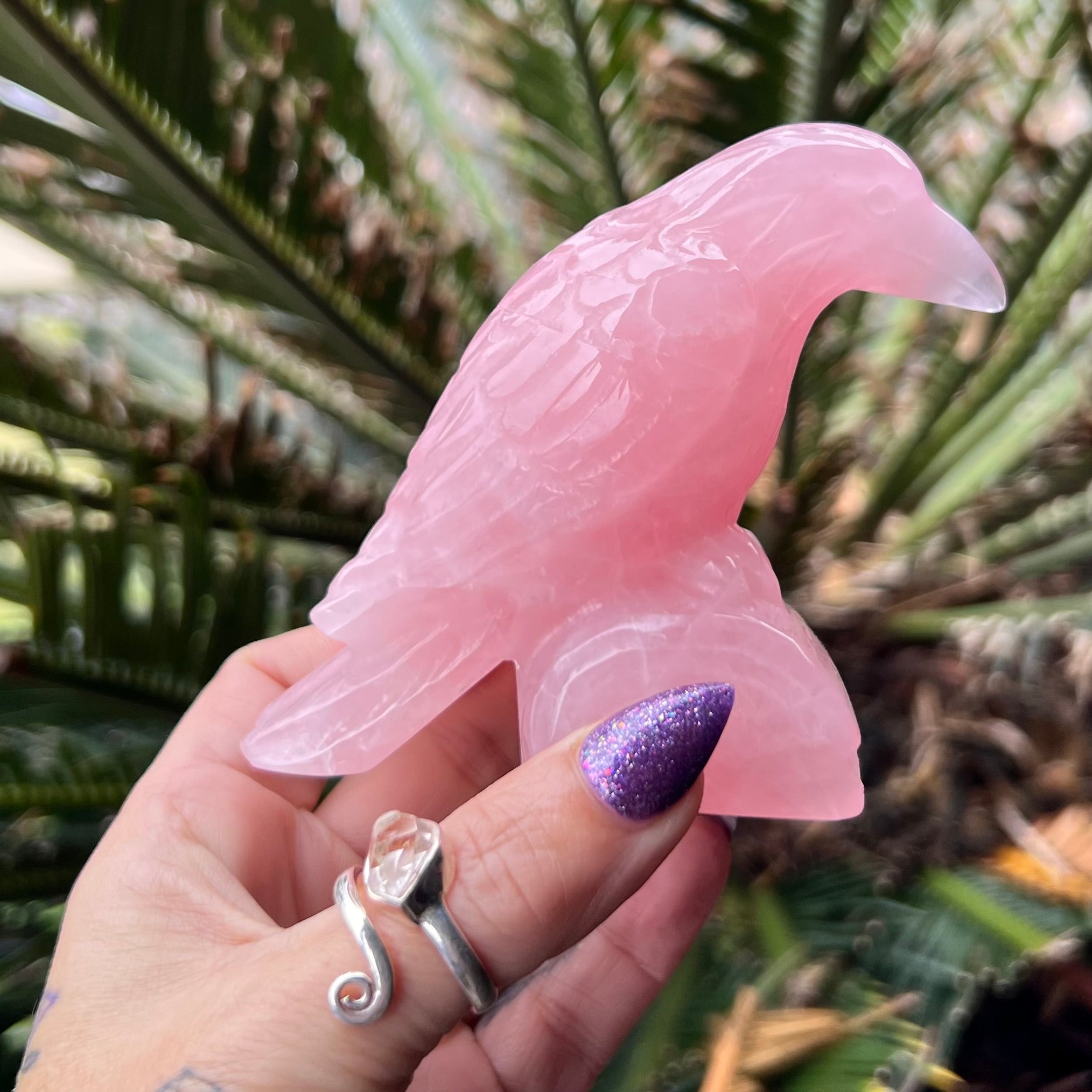 Raven Carving ~ Rose Quartz