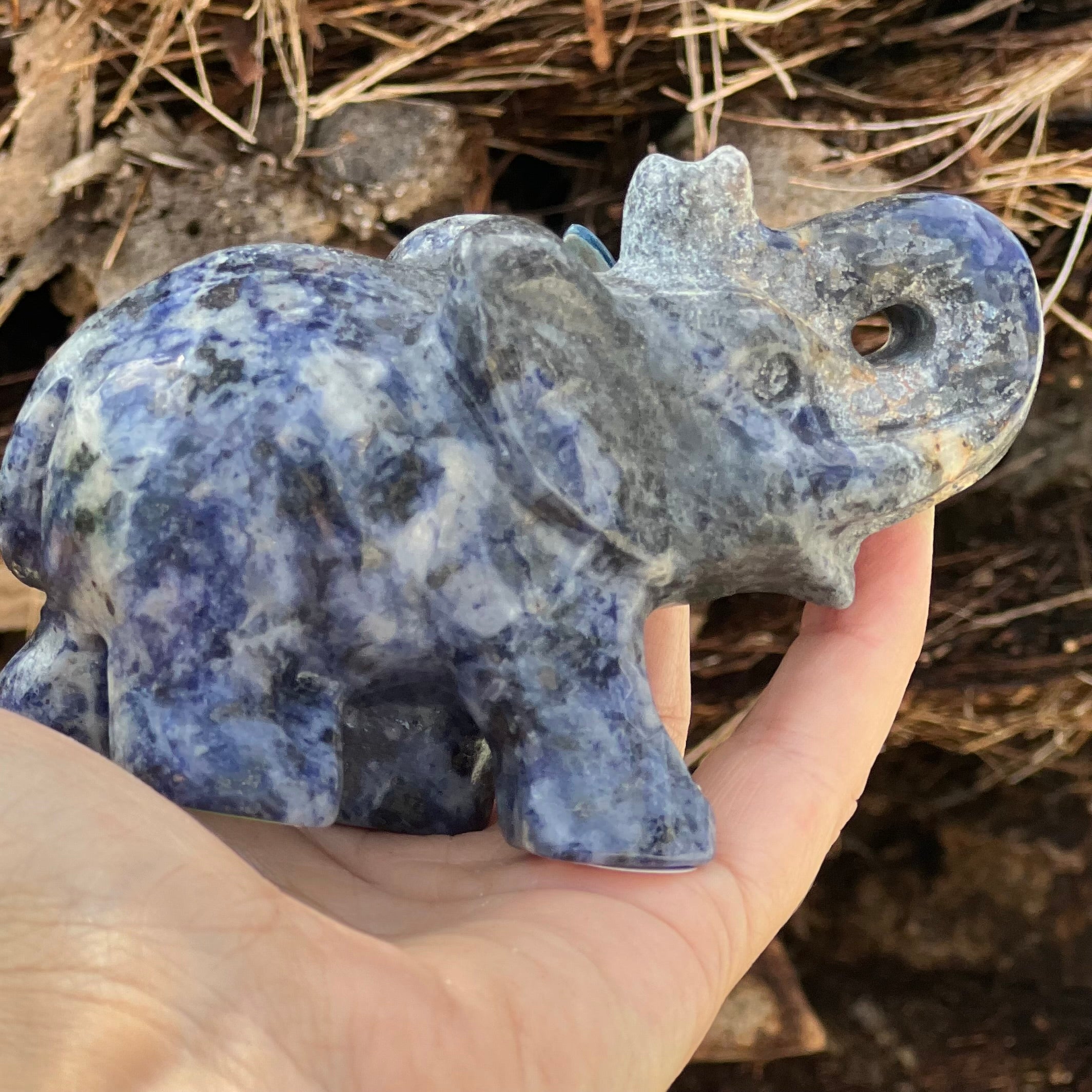 Lucky Elephant ~ Sodalite