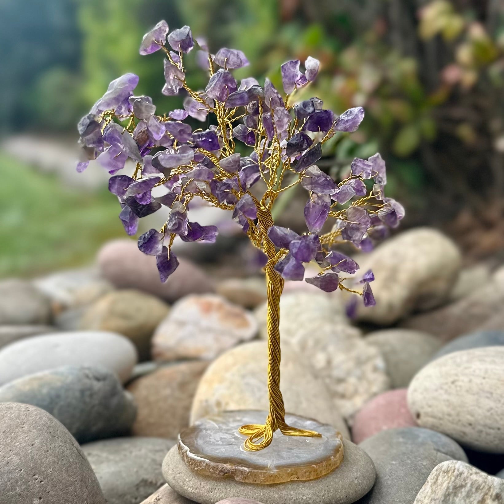 Amethyst ~ Tranquility Blessing Tree