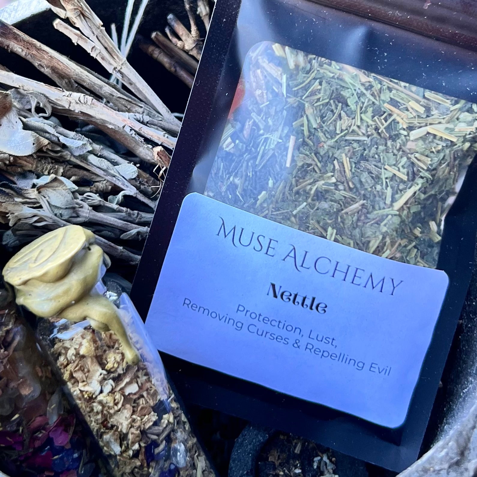 Nettle ~ Muse Alchemy Botanicals