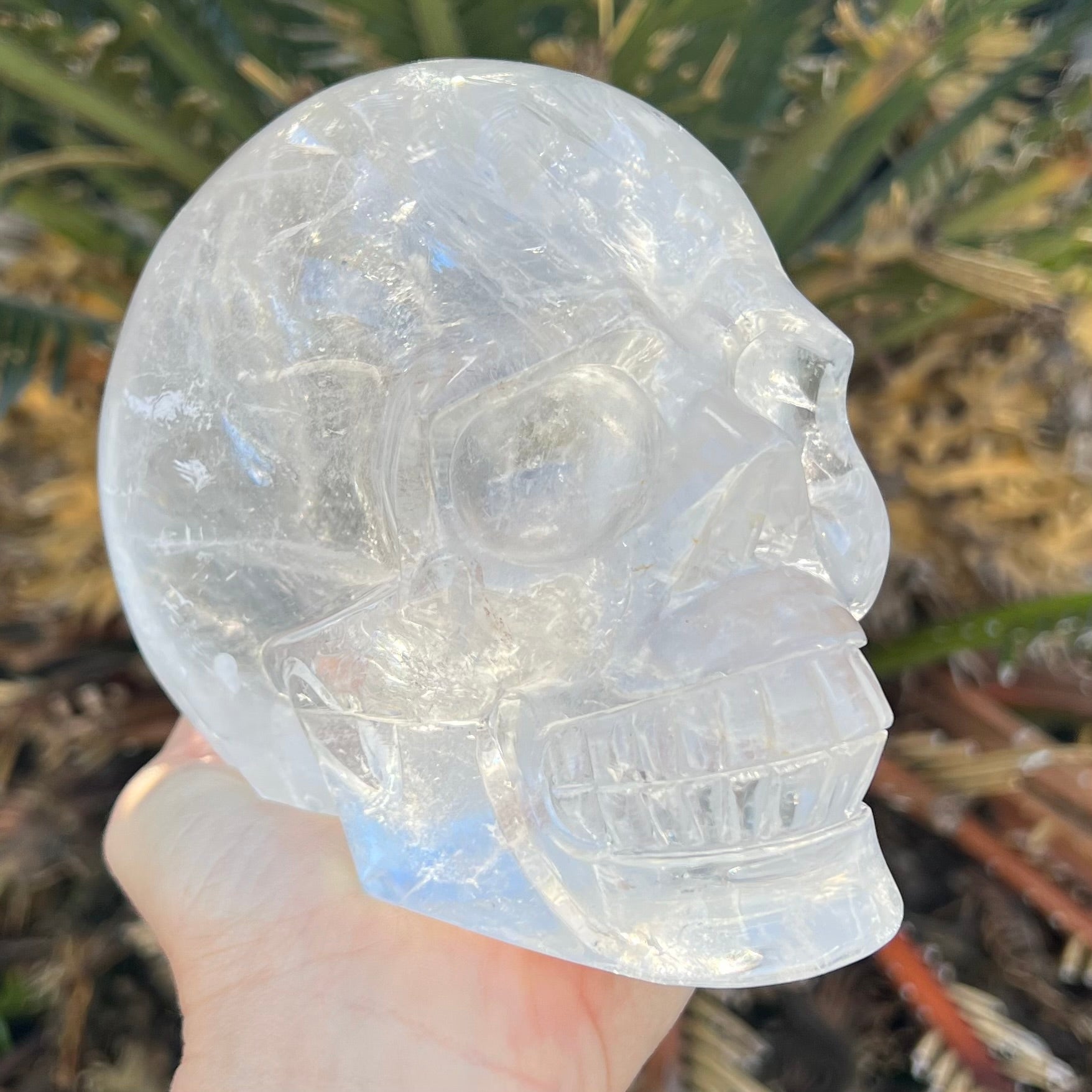 Clear Quartz Skull Carving