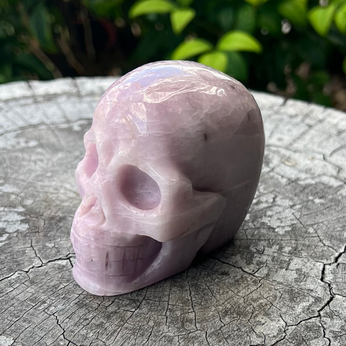 Kunzite Skull ~ Specialty Crystal Carving