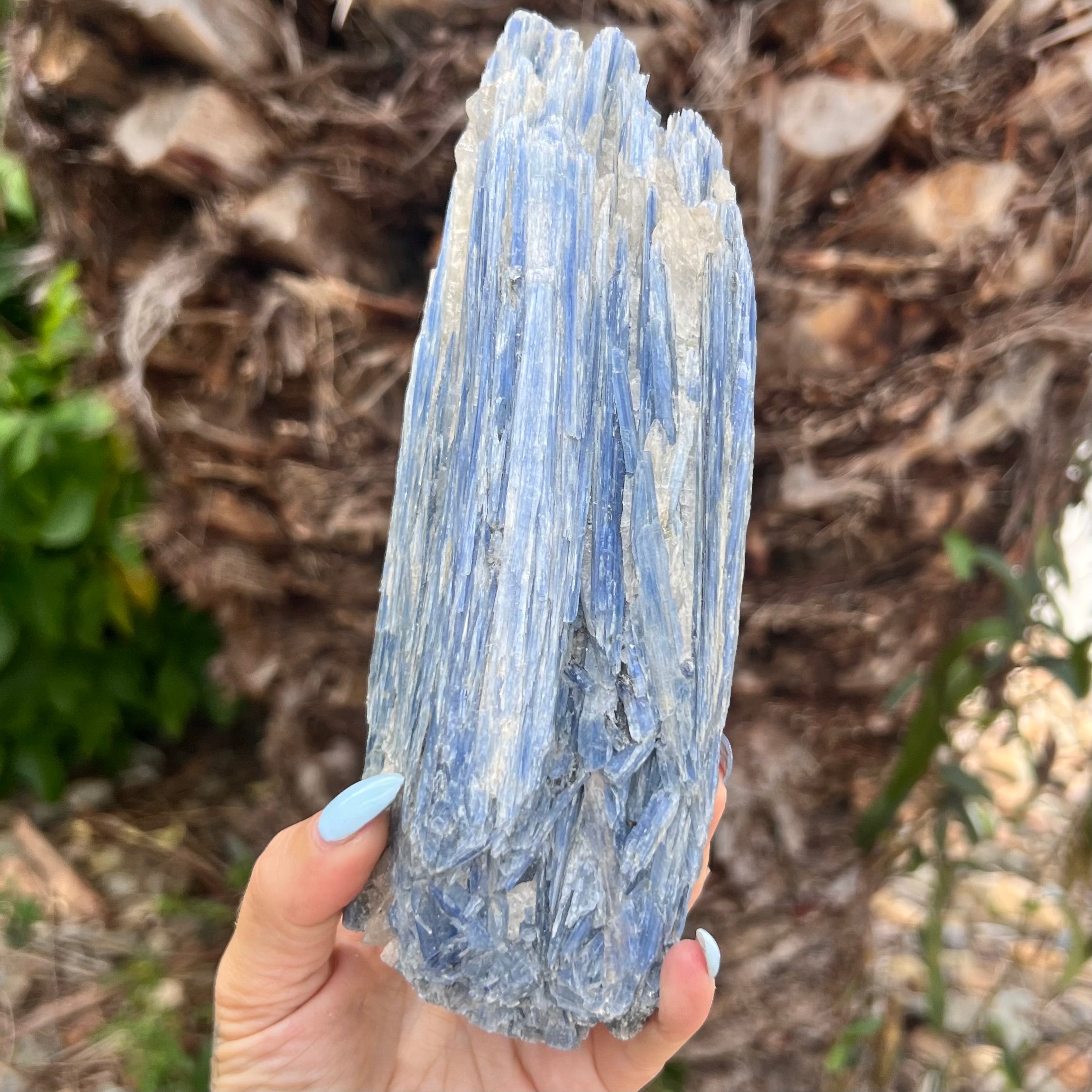 Natural Blue Kyanite with Quartz