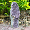 Amethyst Standing Cluster Geode