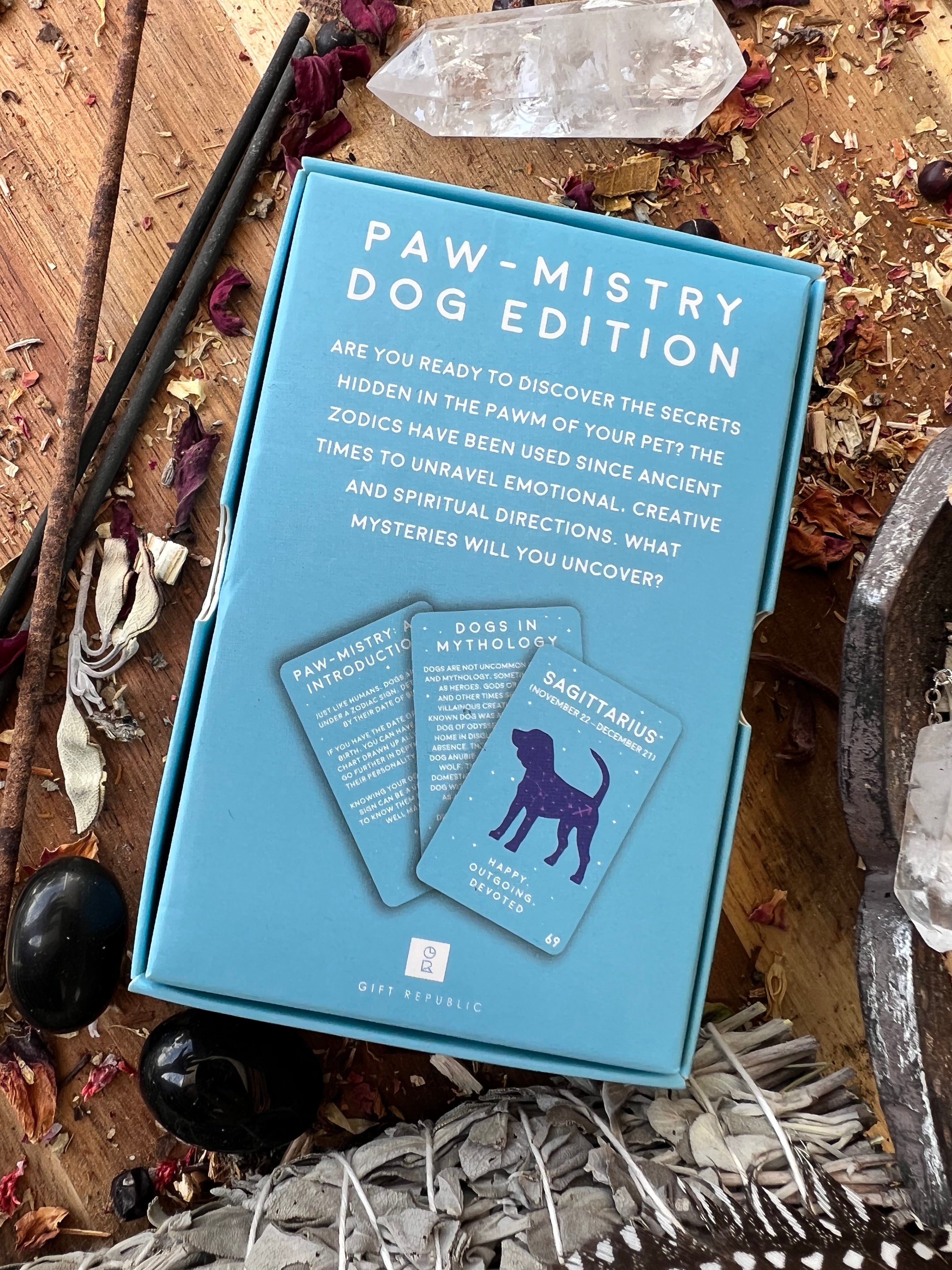 Paw - Mistry Dog Cards