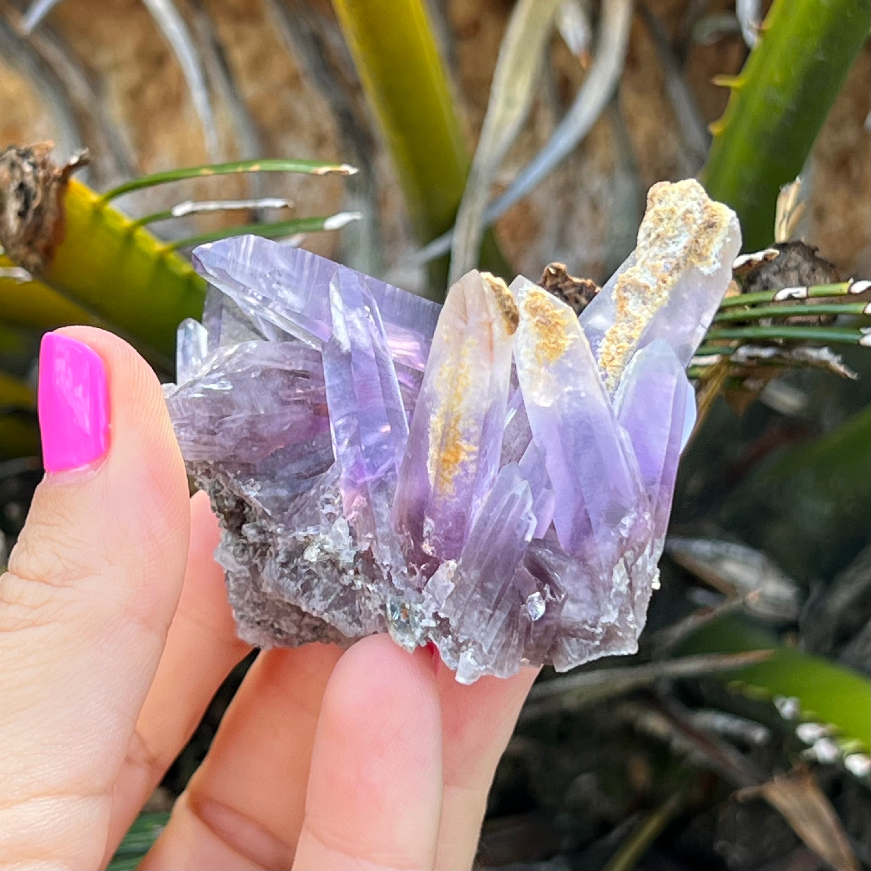 Vera Cruz Amethyst