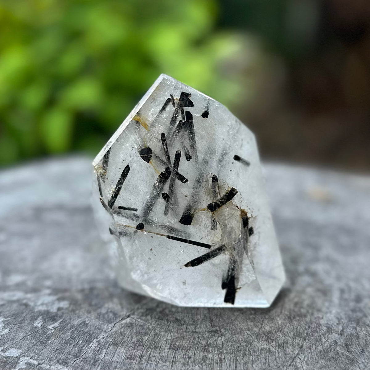 Black Tourmaline in Quartz Freeform