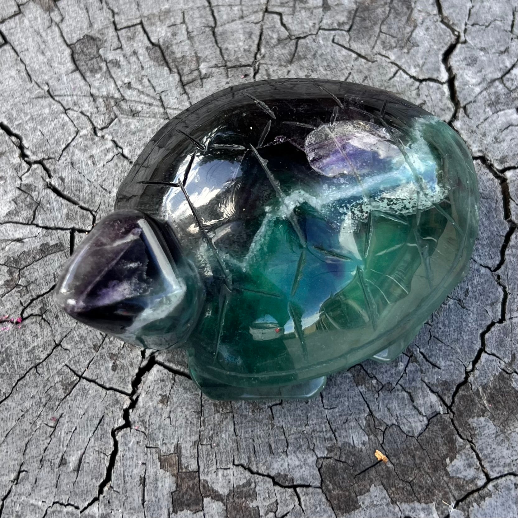 Rainbow Fluorite Turtle Carving