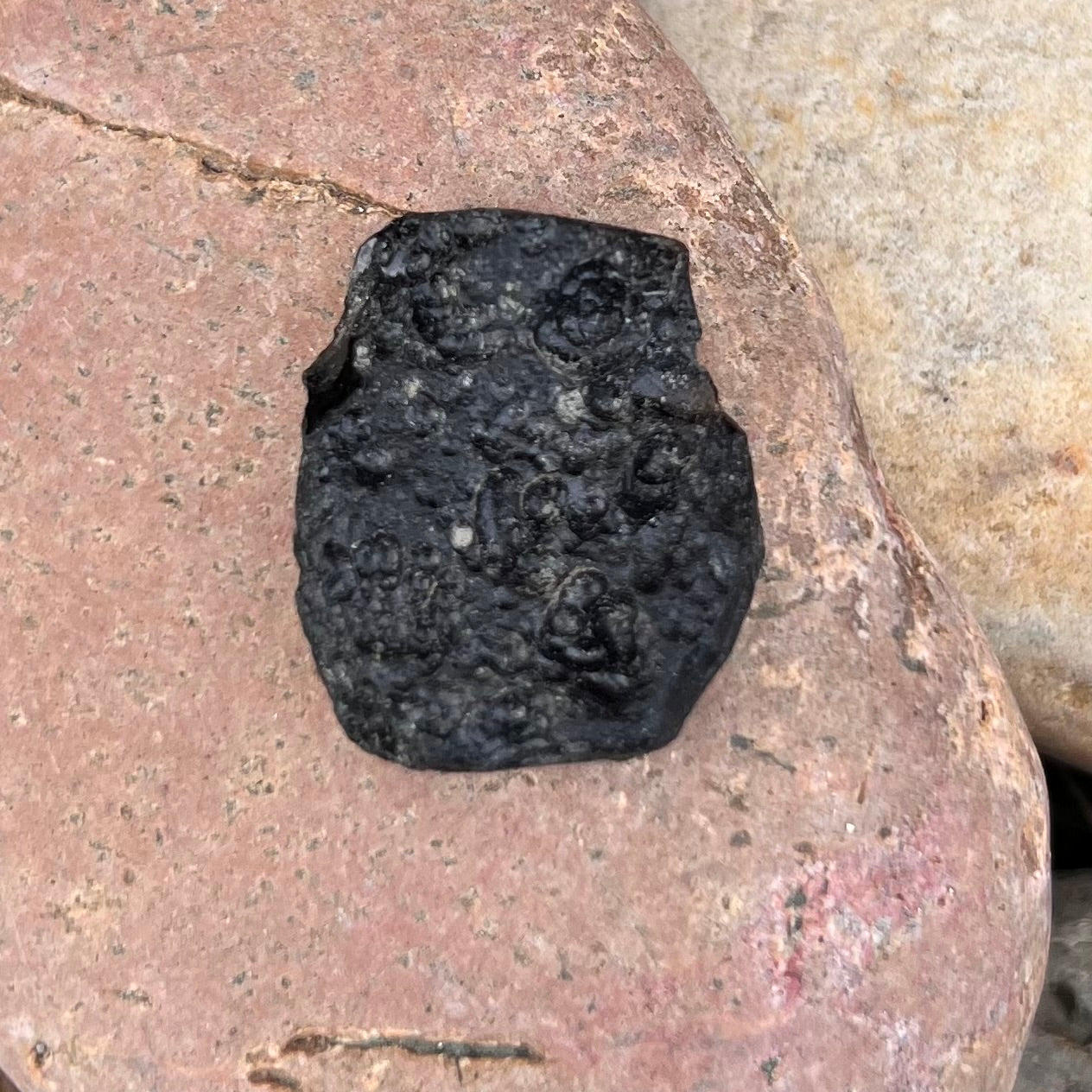Tektite Specimen