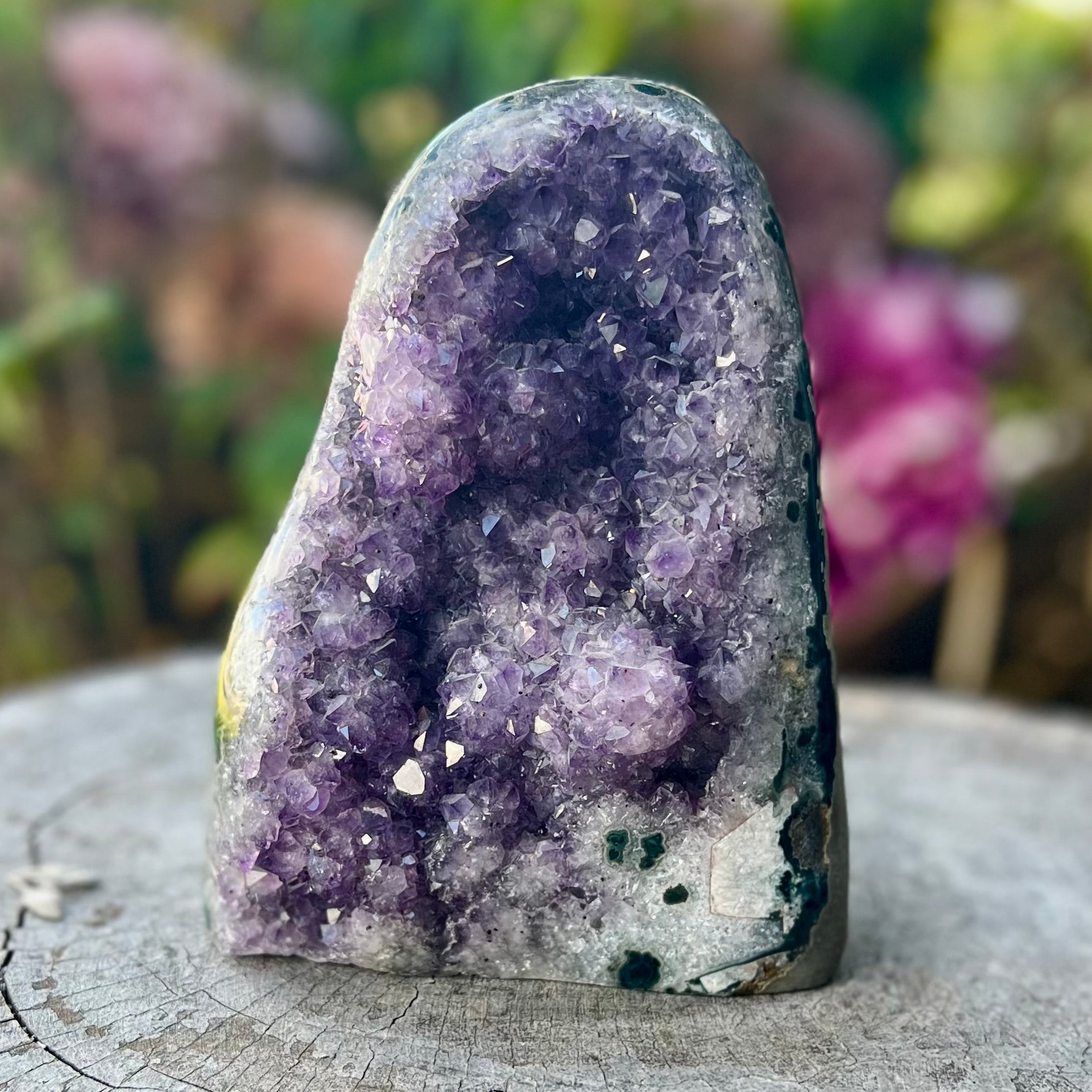Raw Standing Amethyst Cluster
