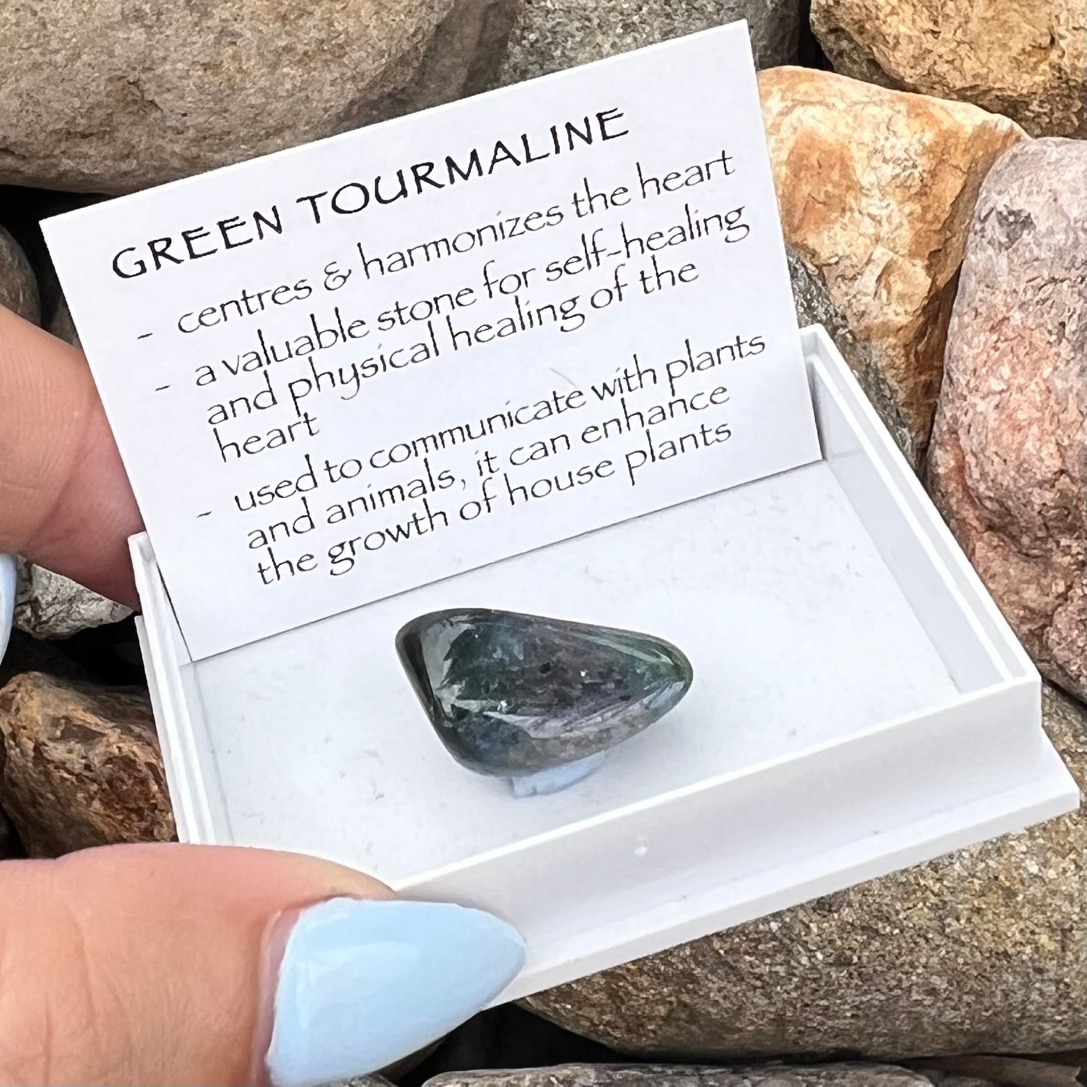 Green Tourmaline ~ Specialty Boxed Crystal