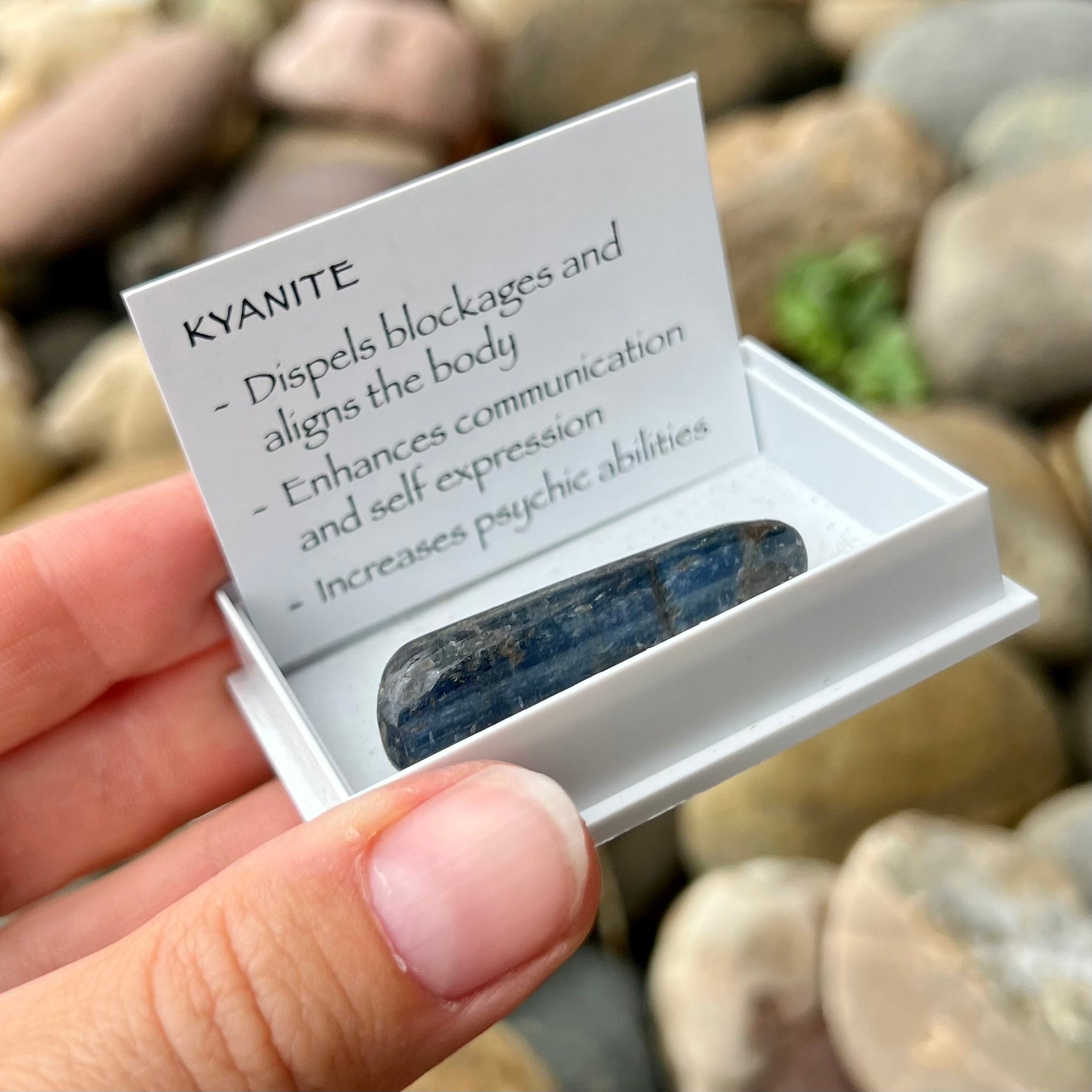 Kyanite Specimen ~ Specialty Boxed Crystal