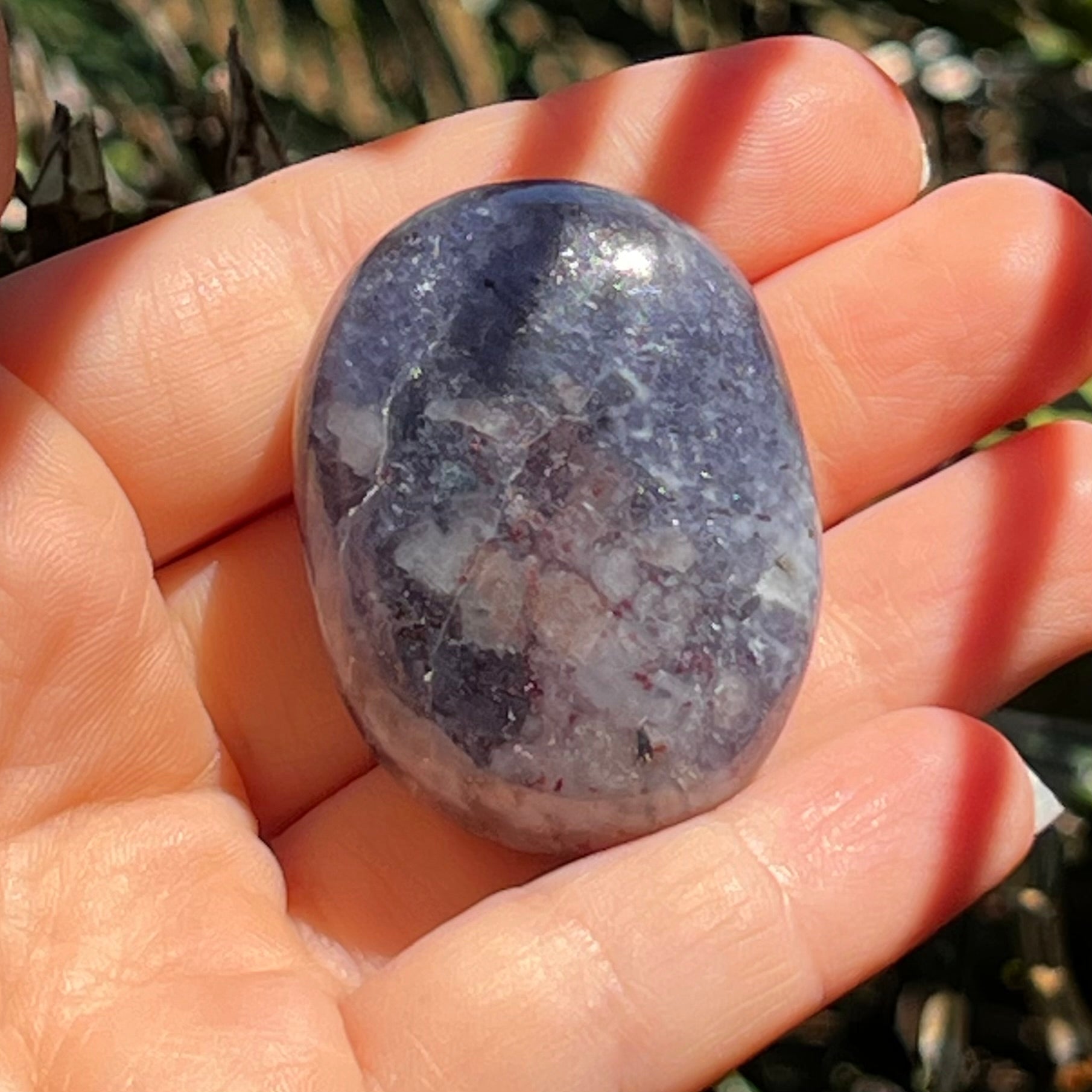 Iolite Palm Stone ~ 2