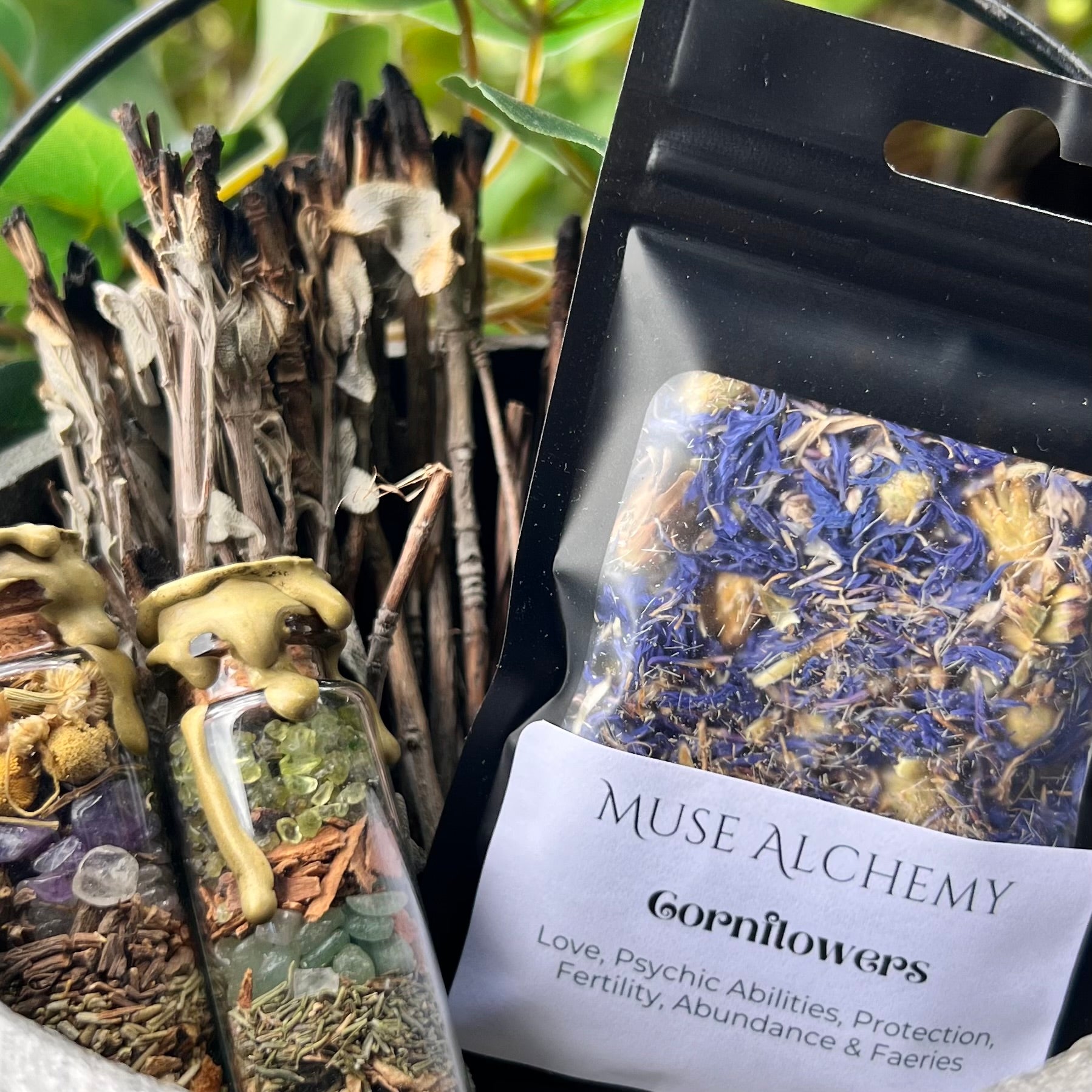 Cornflowers ~ Muse Alchemy Botanicals