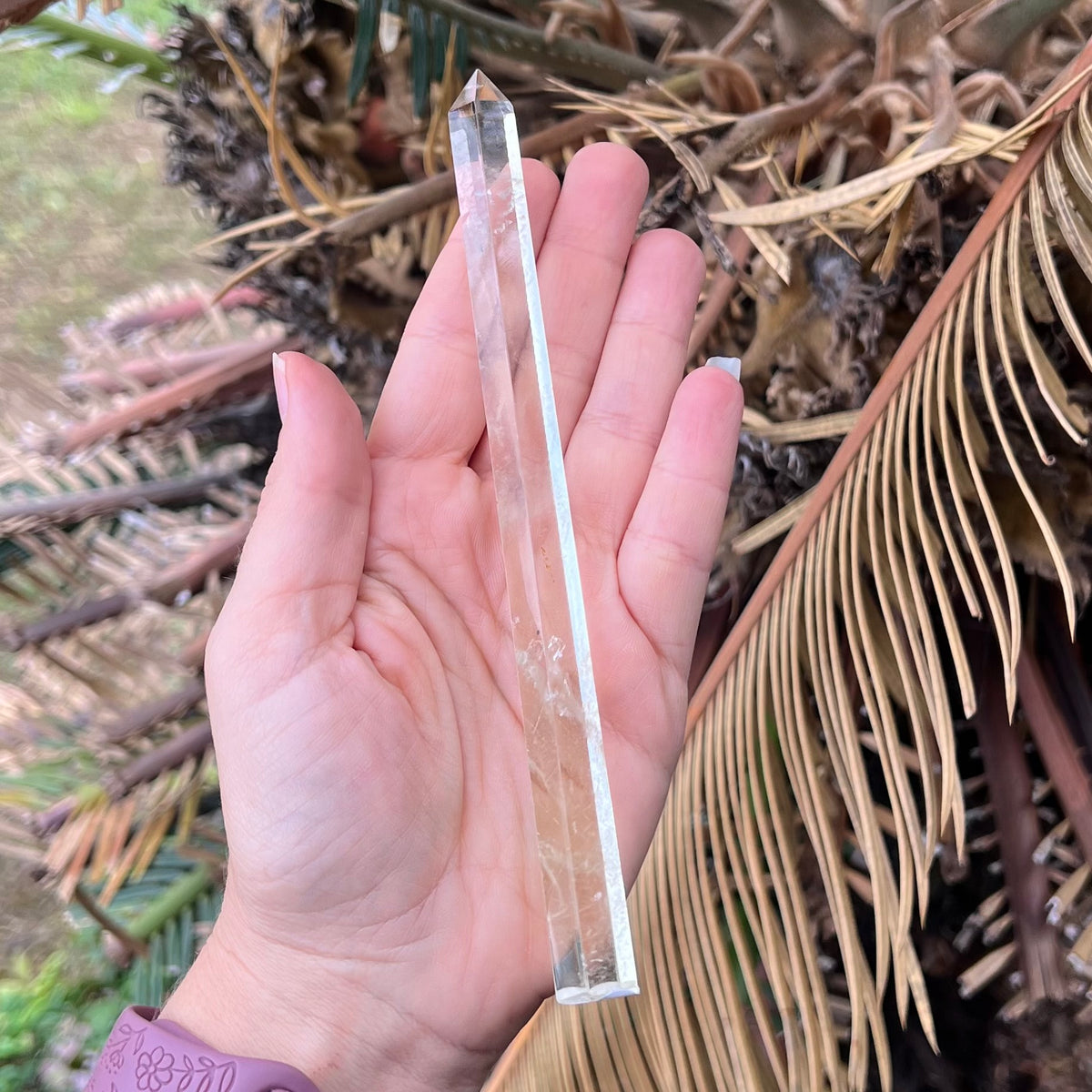 Delicate Citrine Generator