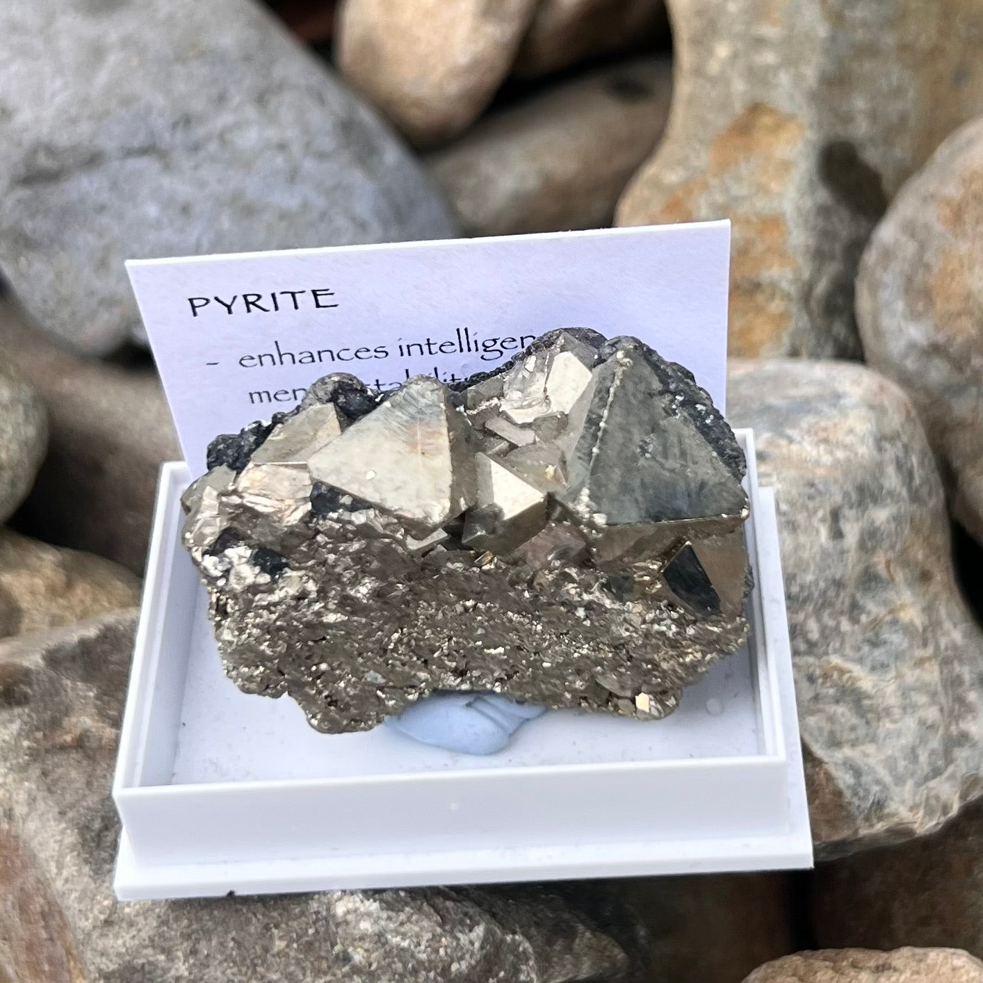 Pyrite Specimen ~ Specialty Boxed Crystal