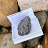 Apache Tears ~ Specialty Boxed Crystal