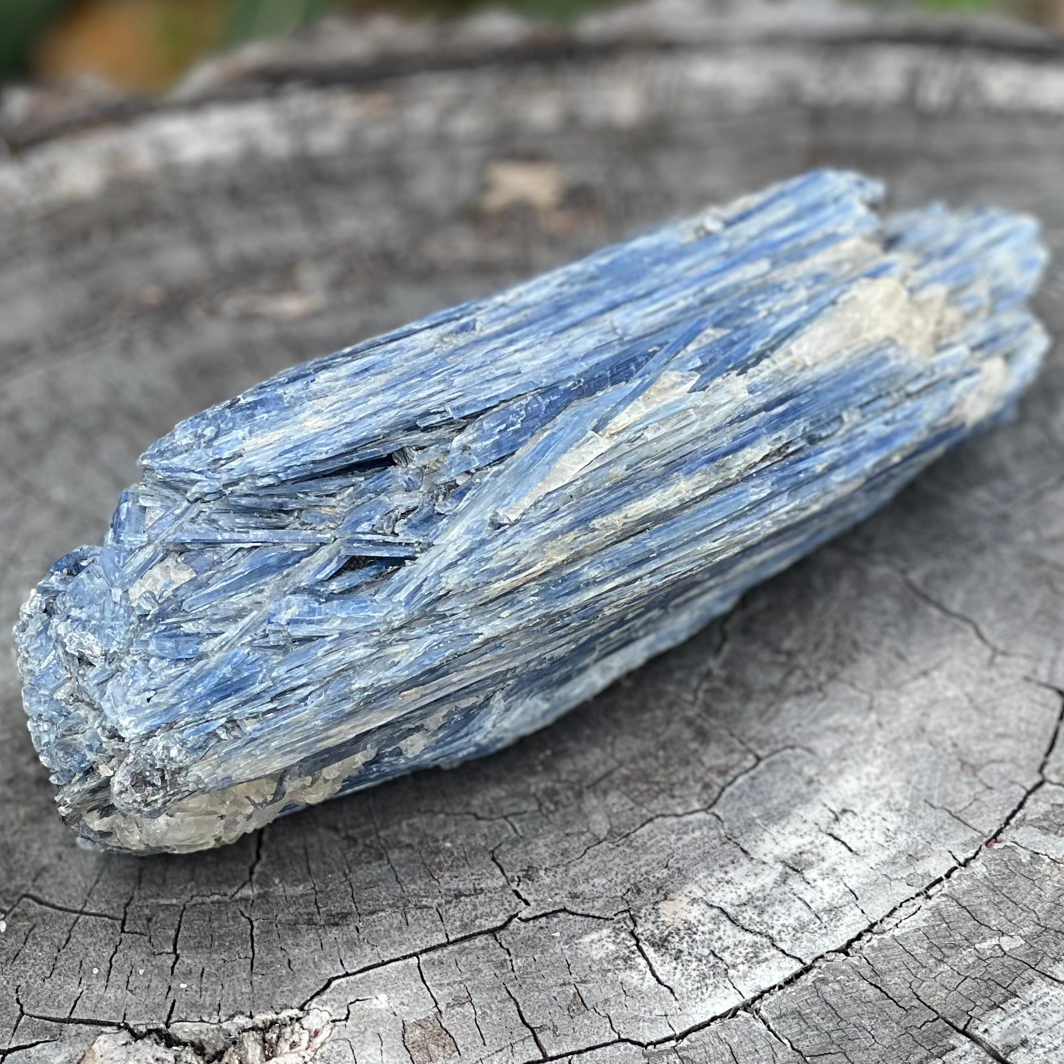 Natural Blue Kyanite with Quartz