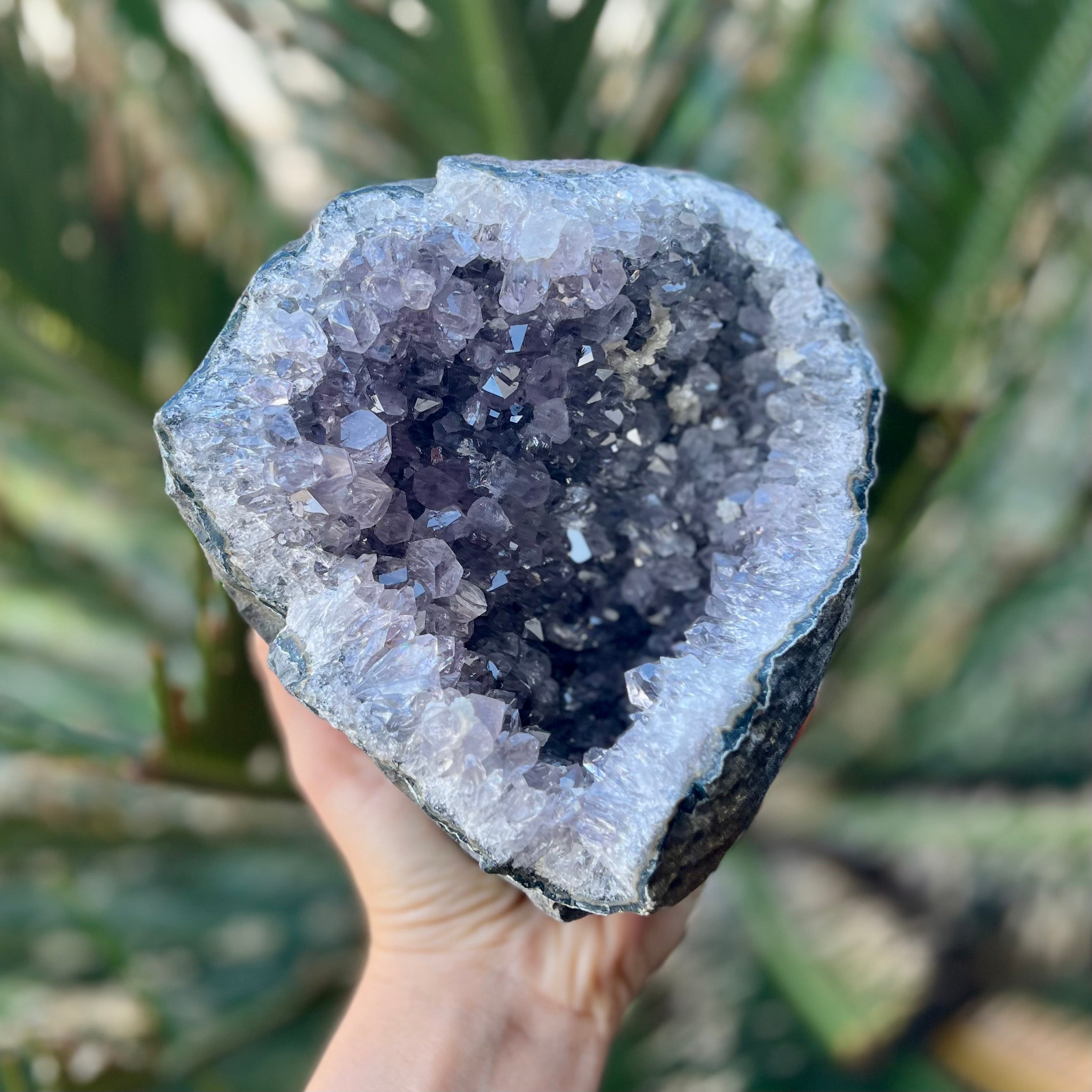 Amethyst Standing Cluster Geode