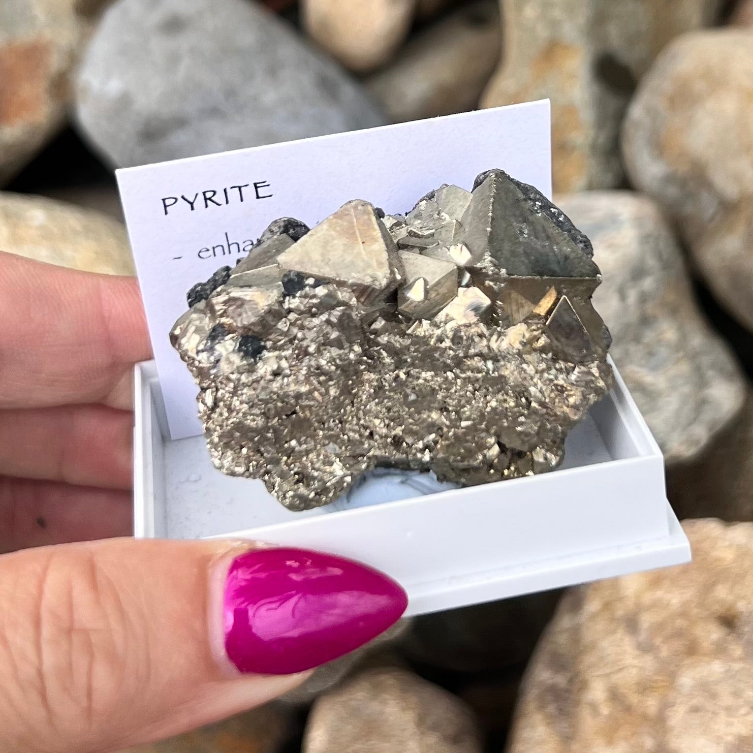 Pyrite Specimen ~ Specialty Boxed Crystal